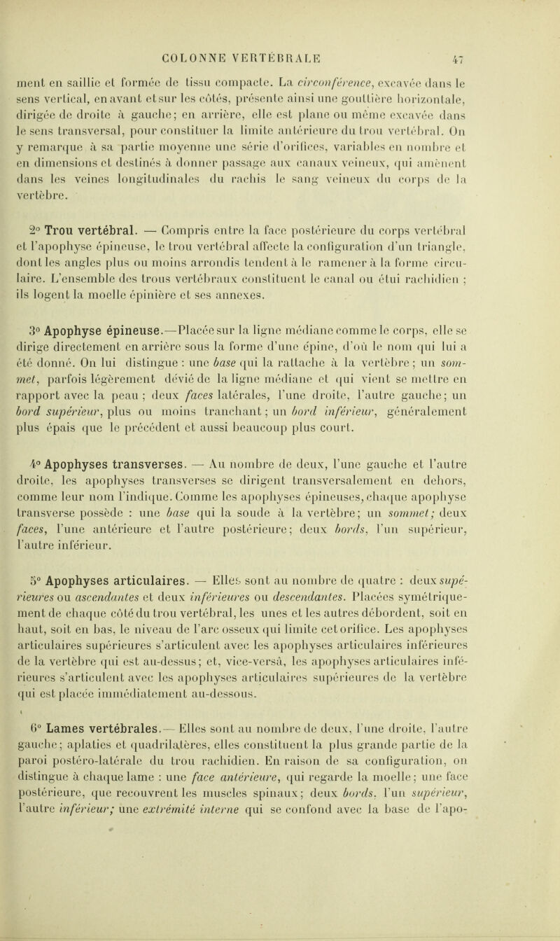 ment en saillie et formée de tissu compacte. La circonférence, excavée dans le sens vertical, en avant et sur les côtés, présente ainsi une gouttière horizontale, dirigée de droite à gauche; en arrière, elle est plane ou même excavée dans le sens transversal, pour constituer la limite antérieure du trou vertébral. On y remarque à sa partie moyenne une série d’orifices, variables en nombre et en dimensions et destinés à donner passage aux canaux veineux, qui amènent dans les veines longitudinales du rachis le sang veineux du corps de la vertèbre. 2° Trou vertébral. — Compris entre la face postérieure du corps vertébral et l’apophyse épineuse, le trou vertébral affecte la configuration d’un triangle, dont les angles plus ou moins arrondis tendent à le ramener à la forme circu¬ laire. L’ensemble des trous vertébraux constituent le canal ou étui rachidien ; ils logent la moelle épinière et ses annexes. 3° Apophyse épineuse.—Placée sur la ligne médiane comme le corps, elle se dirige directement en arrière sous la forme d’une épine, d’où le nom qui lui a été donné. On lui distingue : une base qui la rattache à la vertèbre ; un som¬ met, parfois légèrement dévié de la ligne médiane et qui vient se mettre en rapport avec la peau; deux faces latérales, l’une droite, l’autre gauche; un bord supérieur, plus ou moins tranchant ; un bord inférieur, généralement plus épais que le précédent et aussi beaucoup plus court. 4° Apophyses transverses. — Au nombre de deux, l’une gauche et l’autre droite, les apophyses transverses se dirigent transversalement en dehors, comme leur nom l’indique. Comme les apophyses épineuses, chaque apophyse transverse possède : une base qui la soude à la vertèbre; un sommet; deux faces, l’une antérieure et l’autre postérieure; deux bords, l’un supérieur, l’autre inférieur. 5° Apophyses articulaires. — Elles sont au nombre de quatre : deuxsw/?é- rieures ou ascendantes et deux inférieures ou descendantes. Placées symétrique¬ ment de chaque côté du trou vertébral, les unes et les autres débordent, soit en haut, soit en bas, le niveau de l’arc osseux qui limite cet orifice. Les apophyses articulaires supérieures s’articulent avec les apophyses articulaires inférieures de la vertèbre qui est au-dessus; et, vice-versâ, les apophyses articulaires infé¬ rieures s’articulent avec les apophyses articulaires supérieures de la vertèbre qui est placée immédiatement au-dessous. K 6° Lames vertébrales.— Elles sont au nombre de deux, l’une droite, l’autre gauche; aplaties et quadrilatères, elles constituent la plus grande partie de la paroi postéro-latérale du trou rachidien. En raison de sa configuration, on distingue à chaque lame : une face antérieure, qui regarde la moelle ; une face postérieure, que recouvrent les muscles spinaux; deux bords, l’un supérieur, l’autre inférieur; une extrémité interne qui se confond avec la base de l’apo-