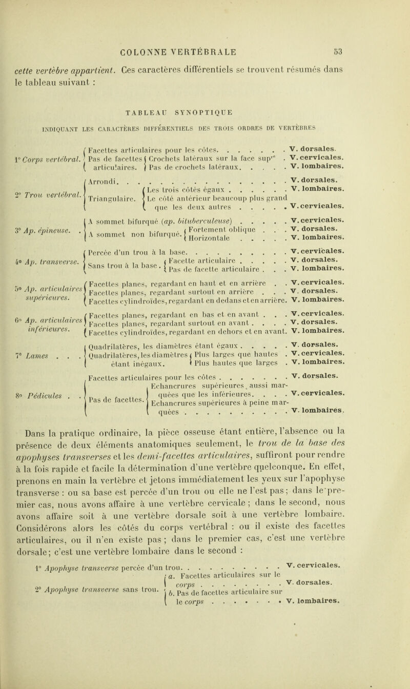 cette vertèbre appartient. Ces caractères différentiels se trouvent résumés dans le tableau suivant : TABLEAU SYNOPTIQUE INDIQUANT LES CARACTÈRES DIFFERENTIELS DES TROIS ORDRES DE VERTÈBRES /Facettes articulaires pour les côtes.V. dorsales. 1° Corps vertébral. ] Pas de facettes! Crochets latéraux sur la face sup*'e . V. cervicales. ( articulaires, j Pas de crochets latéraux. . . . .V. lombaires. 2° Trou vertébral. Arrondi.V. dorsales. ! Les trois côtés égaux ...... V. lombaires. Le côté antérieur beaucoup plus grand que les deux autres.V. cervicales. IA sommet bifurqué (ap. bituberculeuse) . . . . . ( Fortement oblique A sommet non Marque. { Horizontale 1 _ . . V. cervicales. . V. dorsales. . V. lombaires. 40 Ap. tramverse. gans trou à ,a base. Percée d’un trou à la base.. . i Facette articulaire . . t Pas de facette articulaire . v. cervicales. V. dorsales. V. lombaires. 5° Ap. articulaires supérieures. Facettes planes, regardant en haut et en arrière . . V. cervicales. Facettes planes, regardant surtout en arrière . . . v. dorsales. Facettes cylindroïdes, regardant en dedans et en arrière. V. lombaires. [ Facettes planes, regardant en bas et en avant . . . V. cervicales. Ap. articulaires} Facettes planes, regardant surtout en avant .... V. dorsales. inferieures. j Facettes cylindroïdes, regardant en dehors et en avant. V. lombaires. 7° Lames Quadrilatères, les diamètres étant égaux.v- dorsales. Quadrilatères, les diamètres i Plus larges que hautes . V. cervicales, étant inégaux. t Plus hautes que larges . V. lombaires. 8° Pédicules Facettes articulaires pour les côtes. (Echancrures supérieures. aussi mar¬ quées que les inférieures. . . . Echancrures supérieures à peine mar¬ quées . V. dorsales. V. cervicales. V. lombaires. Dans la pratique ordinaire, la pièce osseuse étant entière, l’absence ou la présence de deux éléments anatomiques seulement, le trou de la base des apophyses transverses et les demi-facettes articulaires, suffiront pour rendre à la fois rapide et facile la détermination d’une vertèbre quelconque. En effet, prenons en main la vertèbre et jetons immédiatement les yeux sur 1 apophyse transverse : ou sa base est percée d’un trou ou elle ne l’est pas; dans le'pre- mier cas, nous avons affaire à une vertèbre cervicale ; dans le second, nous avons affaire soit à une vertèbre dorsale soit à une vertèbre lombaire. Considérons alors les côtés du corps vertébral : ou il existe des facettes articulaires, ou il n’en existe pas ; dans le premier cas, c est une vertèbre dorsale ; c’est une vertèbre lombaire dans le second : 1° Apophyse transverse percée d’un trou.v* cervicales. i a. Facettes articulaires sur le I corps .v- dorsales. 2° Apophyse transverse sans trou, j 6. pas de facettes articulaire sur \ le corps. V. lombaires.