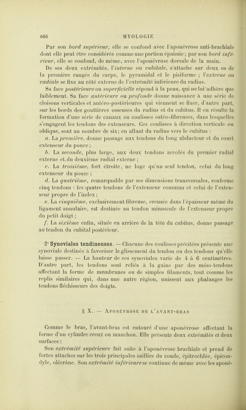 Par son bord supérieur, elle se confond avec l’aponévrose anti-brachiale dont elle peut être considérée comme une portion épaissie ; par son bord infé¬ rieur, elle se confond, de même, avec l’aponévrose dorsale de la main. De ses deux extrémités, Yinterne ou cubitale, s’attache sur deux os de la première rangée du carpe, le pyramidal et le pisiforme ; Y externe ou radiale se fixe au côté externe de l’extrémité inférieure du radius. Sa face postérieure ou superficielle répond à la peau, qui ne lui adhère que faiblement. Sa face antérieure ou profonde donne naissance à une série de cloisons verticales et antéro-postérieures qui viennent se fixer, d’autre part, sur les bords des gouttières osseuses du radius et du cubitus. Il en résulte la formation d’une série de canaux ou coulisses ostéo-fibreuses, dans lesquelles s’engagent les tendons des extenseurs. Ces coulisses à direction verticale ou oblique, sont au nombre de six; en allant du radius vers le cubitus : a. Lapremière, donne passage aux tendons du long abducteur et du court extenseur du pouce ; b. La seconde, plus large, aux deux tendons accolés du premier radial externe et. du deuxième radial externe ; c. La troisième, fort étroite, ne loge qu’un seul tendon, celui du long extenseur du pouce ; d. La quatrième, remarquable par ses dimensions transversales, renferme cinq tendons : les quatre tendons de l’extenseur commun et celui de l’exten¬ seur propre de l’index; e. La cinquième, exclusivement fibreuse, creusée dans l’épaisseur même du ligament annulaire, est destinée au tendon minuscule de l’extenseur propre du petit doigt ; f. La sixième enfin, située en arrière de la tête du cubitus, donne passage au tendon du cubital postérieur. 2° Synoviales tendineuses. — Chacune des coulisses précitées présente une synoviale destinée à favoriser le glissement du tendon ou des tendons qu’elle laisse passer. — La hauteur de ces synoviales varie de 4 à 6 centimètres, D’autre part, les tendons sont reliés à la gaine par des méso-tendons affectant la forme de membranes ou de simples filaments, tout comme les replis similaires qui, dans une autre région, unissent aux phalanges les tendons fléchisseurs des doigts. § X. — Aponévrose de l’avant-bras Comme le bras, l’avant-bras est entouré d’une aponévrose affectant la forme d’un cylindre creux ou manchon. Elle présente deux extrémités et deux surfaces : Son extrémité supérieure fait suite à l’aponévrose brachiale et prend de fortes attaches sur les trois principales saillies du coude, épitrochlée, épicon¬ dyle, olécrane. Son extrémité inférieure se continue de même avec les aponé-