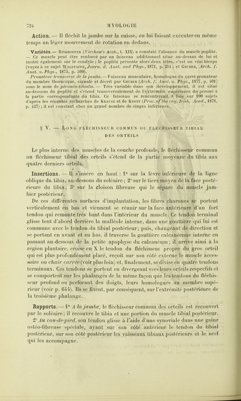 Action. — Il fléchit la jambe sur la cuisse, en lui faisant exécuter en même temps un léger mouvement de rotation en dedans. Variétés.— Ringhoffer (Vïrchow’s Ârch., t. XIX) a constaté l’absence du muscle poplité. — Ce muscle peut être renforcé par un faisceau additionnel situé au-dessus de lui et inséré également sur le condyle ; le poplité présente alors deux têtes, c’est un vrai biceps (voyez à ce sujet Wagstaffe, Journ. d. Anat. and Phys., 1871, p. 214 ; et Gruber, Arch. f. Anat. u. Phys., 1875, p. 599). Pronateur transverse de la jambe. — Faisceau musculaire, homologue du carré pronateur du membre thoracique, signalé et décrit par Gruber {Arch. f. Anal. u. Phys., 1877, p. 401) sous le nom de péronéo-tibialis. — Très variable dans son développement, il est situé au-dessous du poplité et s’étend transversalement de l’extrémité supérieure du péroné à la partie correspondante du tibia. Ce faisceau se rencontrerait 8 fois sur 100 sujets d’après les récentes recherches de Krause et de Knott {Proc.of the roy. Irish. Acad.,\$>rl\, p. 427) ; il est constant chez un grand nombre de singes inférieurs. § Y. — Long fléchisseur commun ou fléchisseur tibial DES ORTEILS Le plus interne des muscles de la couche profonde, le fléchisseur commun ou fléchisseur tibial des orteils s’étend de la partie moyenne du tibia aux quatre derniers orteils. Insertions. — Il s’insère en haut : 1° sur la lèvre inférieure de la ligne oblique du tibia, au-dessous du soléaire ; 2° sur le tiers moyen de la face posté¬ rieure du tibia; 3° sur la cloison fibreuse qui le sépare du muscle jam- bier postérieur. De ces différentes surfaces d’implantation, les fibres charnues se portent verticalement en bas et viennent se réunir sur la face antérieure d’un fort tendon qui remonte très haut dans l’intérieur du muscle. Ce tendon terminal glisse tout d’abord derrière la malléole interne, dans une gouttière qui lui est commune avec le tendon du tibial postérieur; puis, changeant de direction et se portant en avant et en bas, il traverse la gouttière calcanéenne interne en passant au-dessous de la petite apophyse du calcanéum ; il arrive ainsi à la région plantaire, croise en X le tendon du fléchisseur propre du gros orteil qui est plus profondément placé, reçoit sur son côté externe le muscle acces¬ soire ou chair carrée (voir plus loin) et, finalement, se divise en quatre tendons terminaux. Ces tendons se portent en divergeant vers leurs orteils respectifs et se comportent sur les phalanges de la même façon que les tendons du fléchis¬ seur profond ou perforant des doigts, leurs homologues au membre supé¬ rieur (voir p. 644). Ils se fixent, par conséquent, sur l’extrémité postérieure de la troisième phalange. Rapports. —1° A la jambe, le fléchisseur commun des orteils est recouvert par le soléaire; il recouvre le tibia et une portion du muscle tibial postérieur. Au cou-de-pied, son tendon glisse à l’aide d’une synoviale dans une gaine ostéo-fibreuse spéciale, ayant sur son côté antérieur le tendon du tibial postérieur, sur son côté postérieur les vaisseaux tibiaux postérieurs et le nerf qui les accompagne.