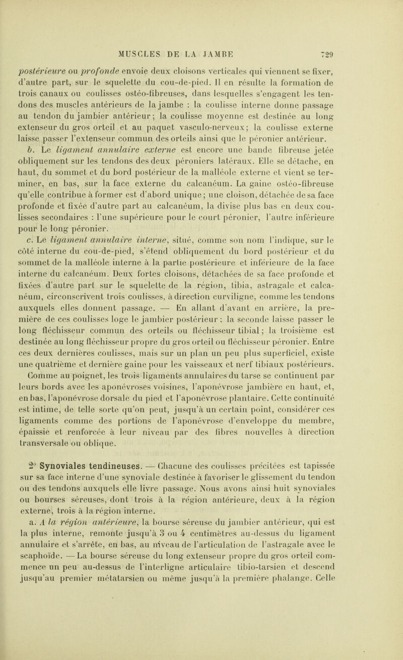 postérieure ou profonde envoie deux cloisons verticales qui viennent se fixer, d’autre part, sur le squelette du cou-de-pied. Il en résulte la formation de trois canaux ou coulisses ostéo-fibreuses, dans lesquelles s’engagent les ten¬ dons des muscles antérieurs de la jambe : la coulisse interne donne passage au tendon du jambier antérieur; la coulisse moyenne est destinée au long extenseur du gros orteil et au paquet vasculo-nerveux ; la coulisse externe laisse passer l’extenseur commun des orteils ainsi que le péronier antérieur. b. Le ligament annulaire externe est encore une bande fibreuse jetée obliquement sur les tendons des deux péroniers latéraux. Elle se détache, en haut, du sommet et du bord postérieur de la malléole externe et vient se ter¬ miner, en bas, sur la face externe du calcanéum. La gaine ostéo-fibreuse qu’elle contribue à former est d’abord unique ; une cloison, détachée de sa face profonde et fixée d’autre part au calcanéum, la divise plus bas en deux cou¬ lisses secondaires : l’une supérieure pour le court péronier, l’autre inférieure pour le long péronier. c. Le ligament annulaire interne, situé, comme son nom l’indique, sur le côté interne du cou-de-pied, s’étend obliquement du bord postérieur et du sommet de la malléole interne à la partie postérieure et inférieure de la face interne du calcanéum. Deux fortes cloisons, détachées de sa face profonde et fixées d’autre part sur le squelette de la région, tibia, astragale et calca¬ néum, circonscrivent trois coulisses, à direction curviligne, comme les tendons auxquels elles donnent passage. — En allant d’avant en arrière, la pre¬ mière de ces coulisses loge le jambier postérieur ; la seconde laisse passer le long fléchisseur commun des orteils ou fléchisseur tibial ; la troisième est destinée au long fléchisseur propre du gros orteil ou fléchisseur péronier. Entre ces deux dernières coulisses, mais sur un plan un peu plus superficiel, existe une quatrième et dernière gaine pour les vaisseaux et nerf tibiaux postérieurs. Gomme au poignet, les trois ligaments annulaires du tarse se continuent par leurs bords avec les aponévroses voisines, l’aponévrose jambière en haut, et, en bas, l’aponévrose dorsale du pied et l’aponévrose plantaire. Cette continuité est intime, de telle sorte qu’on peut, jusqu’à un certain point, considérer ces ligaments comme des portions de l’aponévrose d’enveloppe du membre, épaissie et renforcée à leur niveau par des fibres nouvelles à direction transversale ou oblique. 2° Synoviales tendineuses. — Chacune des coulisses précitées est tapissée sur sa face interne d’une synoviale destinée à favoriser le glissement du tendon ou des tendons auxquels elle livre passage. Nous avons ainsi huit synoviales ou bourses séreuses, dont trois à la région antérieure, deux à la région externe, trois à la région interne. a. A la région antérieure, la bourse séreuse du jambier antérieur, qui est la plus interne, remonte jusqu’à 3 ou 4 centimètres au-dessus du ligament annulaire et s’arrête, en bas, au niveau de l’articulation de l’astragale avec le scaphoïde. —La bourse séreuse du long extenseur propre du gros orteil com¬ mence un peu au-dessus de l’interligne articulaire tibio-tarsien et descend jusqu’au premier métatarsien ou même jusqu’à la première phalange. Celle