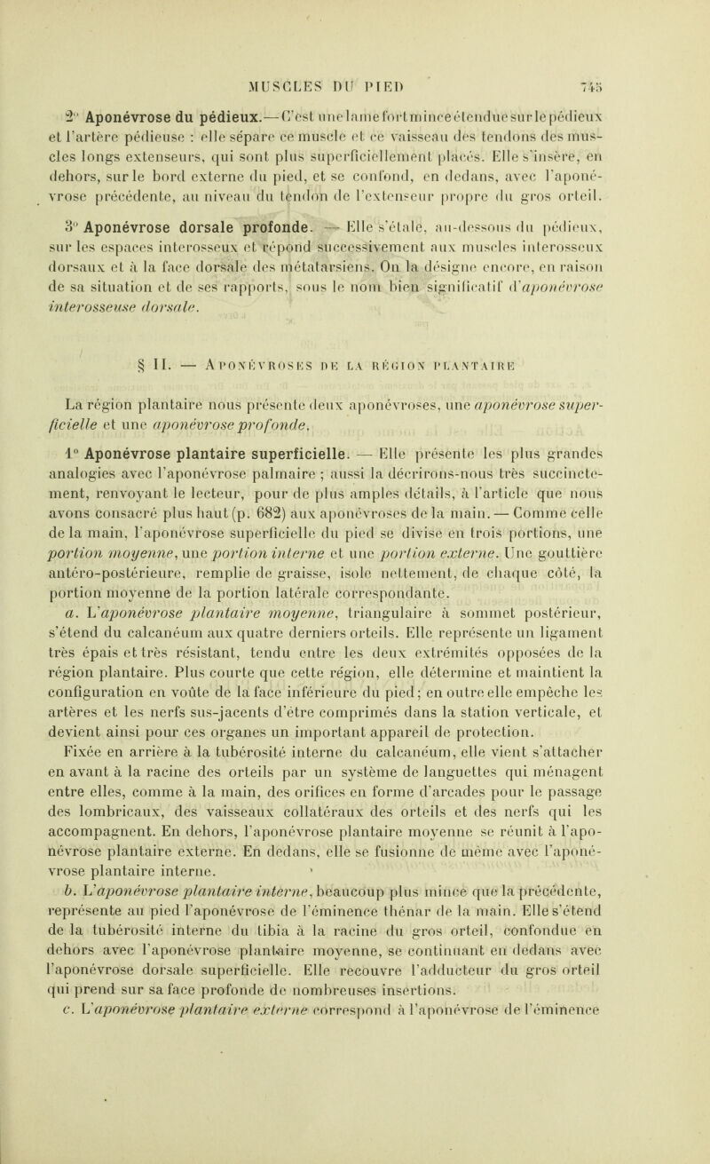 /40 2 Aponévrose du pédieux.— C’est une lame fort mince étendue sur le pédieux et l’artère pédieuse : elle sépare ce muscle et ce vaisseau des tendons des mus¬ cles longs extenseurs, qui sont plus superficiellement placés. Elle s’insère, en dehors, sur le bord externe du pied, et se confond, en dedans, avec l’aponé¬ vrose précédente, au niveau du tendon de l’extenseur propre du gros orteil. 3° Aponévrose dorsale profonde. — Elle s’étale, au-dessous du pédieux, sur les espaces interosseux et répond successivement aux muscles interosseux dorsaux et à la face dorsale des métatarsiens. On la désigne encore, en raison de sa situation et de ses rapports, sous le nom bien significatif d'aponévrose interosseuse dorsale. § II. — Aponévroses de la région plantaire La région plantaire nous présente deux aponévroses, une aponévrose super¬ ficielle et une aponévrose profonde. 1° Aponévrose plantaire superficielle. — Elle présente les plus grandes analogies avec l’aponévrose palmaire ; aussi la décrirons-nous très succincte¬ ment, renvoyant le lecteur, pour de plus amples détails, à l’article que nous avons consacré plus haut (p. 682) aux aponévroses de la main. — Comme celle de la main, l’aponévrose superficielle du pied se divise en trois portions, une portion moyenne,une portion interne et une portion externe. \]ne gouttière antéro-postérieure, remplie de graisse, isole nettement, de chaque côté, la portion moyenne de la portion latérale correspondante. a. L’aponévrose plantaire moyenne, triangulaire à sommet postérieur, s’étend du calcanéum aux quatre derniers orteils. Elle représente un ligament très épais et très résistant, tendu entre les deux extrémités opposées delà région plantaire. Plus courte que cette région, elle détermine et maintient la configuration en voûte de la face inférieure du pied; en outre elle empêche les artères et les nerfs sus-jacents d’étre comprimés dans la station verticale, et devient ainsi pour ces organes un important appareil de protection. Fixée en arrière à la tubérosité interne du calcanéum, elle vient s’attacher en avant à la racine des orteils par un système de languettes qui ménagent entre elles, comme à la main, des orifices en forme d’arcades pour le passage des lombricaux, des vaisseaux collatéraux des orteils et des nerfs qui les accompagnent. En dehors, l’aponévrose plantaire moyenne se réunit à l’apo¬ névrose plantaire externe. En dedans, elle se fusionne de même avec l’aponé¬ vrose plantaire interne. b. L’aponévrose plantaire interne, beaucoup plus mince que la précédente, représente au pied l’aponévrose de l’éminence thénar de la main. Elle s’étend de la tubérosité interne du tibia à la racine du gros orteil, confondue en dehors avec l’aponévrose plantaire moyenne, se continuant en dedans avec l’aponévrose dorsale superficielle. Elle recouvre l’adducteur du gros orteil qui prend sur sa face profonde de nombreuses insertions. c. h'aponévrose plantaire externe correspond à l’aponévrose de l’éminence