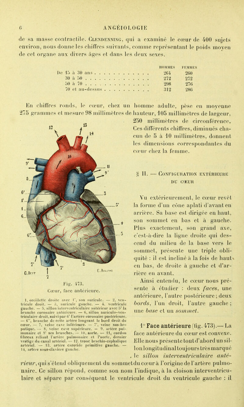 de sa masse contractile. Glendenning, qui a examiné le cœur de 400 sujets environ, nous donne les chiffres suivants, comme représentant le poids moyen de cet organe aux divers âges et dans les deux sexes. HOMMES FEMMES lté 15 à 30 ans 204 200 30 à 50 272 272 50 à 70 298 276 70 et au-dessus 312 280 En chiffres ronds, le cœur, chez un homme adulte, pèse en moyenne 275 grammes et mesure 98 millimètres de hauteur, 105 millimètres de largeur, 250 millimètres de circonférence. Ces différents chiffres, diminués cha- cun de 5 à 10 millimètres, donnent les dimensions correspondantes du cœur chez la femme. $ II. — Configuration extérieure du COEUR Cœur Fi g. 473. face antérieure. 1, oreillette droite avec I', son auricule. — -, ven- tricule droit. — o, auricule gauche. — 4, ventricule gauche. — 5. sillon iuterventriculaire antérieur avec 5' la branche coronaire antérieure. — 6, sillon auriculo-ven- triculaire droit,suivi par G' l'artère coronaire postérieure. — 6, branche de cette artère longeant le bord droit du cœur. — 7, veine cave inférieure. — 7', veine sus-hè- patique. — 8, veine cave supérieure. — !), artère pul- monaire et 9' ses branches. — 10, aorte. — 11, cordon fibreux reliant l'artère pulmonaire et l'aorte, dernier vestige du canal artériel. — 12. tronc brachio-céphalique artériel. — 13, artère carotide primitive gauche. — 14, artère sous-claviere gauche. Vu extérieurement, le cœur revêt la forme d'un cône aplati d'avant en arrière. Sa base est dirigée en haut, son sommet en bas et à gauche. Plus exactement, son grand axe, c'est-à-dire la ligne droite qui des- cend du milieu de la base vers le sommet, présente une triple obli- quité : il est incliné à la fois de haut en bas, de droite à gauche et d'ar- rière en avant. Ainsi entendu, le cœur nous pré- sente à étudier : deux faces, une antérieure, l'autre postérieure; deux bords, l'un droit, l'autre gauche ; une base et un sommet. 1° Face antérieure (tig. 473).— La face antérieure du cœur est convexe. Elle nous présente tout d'abord un sil- 1 o n 1 o n g i t u cl i n a 11 o u j o u r s t r è s m a r q u é . le sillon interventricidaire anté- rieur, qui s'étend obliquement du sommetducœurà l'origine de l'artère pulmo- naire. Ce sillon répond, comme son nom l'indique, à la cloison interventricu- laire et sépare par conséquent le ventricule droit du ventricule gauche : il