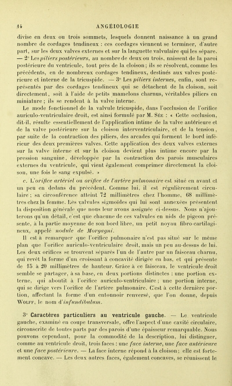 divise en deux ou trois sommets, lesquels donnent naissance à un grand nombre de cordages tendineux : ces cordages viennent se terminer, d'autre part, sur les deux valves externes et sur la languette valvulaire qui les sépare. — 2° Les piliers postérieurs, au nombre de deux ou trois, naissent de la paroi postérieure du ventricule, tout près de la cloison; ils se résolvent, comme les précédents, en de nombreux cordages tendineux, destinés aux valves posté- rieure et interne de la tricuspide. — 3° Les piliers internes, enfin, sont re- présentés par des cordages tendineux qui se détachent de la cloison, soit directement, soit à l'aide de petits mamelons charnus, véritables piliers en miniature ; ils se rendent à la valve interne. Le mode fonctionnel de la valvule tricuspide, dans l'occlusion de l'orifice auriculo-ventriculaire droit, est ainsi formulé par M. Sée : « dette occlusion, dit-il, résulte essentiellement de l'application intime de la valve antérieure et de la valve postérieure sur la cloison interventriculaire, et de la tension, par suite de la contraction des piliers, des arcades qui forment le bord infé- rieur des deux premières valves. Cette application des deux valves externes sur la valve interne et sur la cloison devient plus intime encore par la pression sanguine, développée par la contraction des parois musculaires externes du ventricule, qui vient également comprimer directement la cloi- son, une fois le sang expulsé. » c. Vorifice artériel ou orifice de Vartère pulmonaire est situé en avant et un peu en dedans du précédent. Gomme lui, il est régulièrement circu- laire ; sa circonférence atteint 72 millimètres chez l'homme, 68 millimè- tres chez la femme. Lès valvules sigmoïdes qui lui sont annexées présentent la disposition générale que nous leur avons assignée ci-dessus. Nous n'ajou- terons qu'un détail, c'est que chacune de ces valvules en nids de pigeon pré- sente, à la partie moyenne de son bord libre, un petit noyau fîbro-cartilagï- neux, appelé nodule de iMorgagni. Il est à remarquer que l'orifice pulmonaire n'est pas situé sur le même plan que l'orifice auriculo-ventriculaire droit, mais un peu au-dessus de lui. Les deux orifices se trouvent séparés l'un de l'autre par un faisceau charnu, qui revêt la forme d'un croissant à concavité dirigée en bas, et qui présente de 15 à 20 millimètres de hauteur. Grâce cà ce faisceau, le ventricule droit semble se partager, à sa base, en deux portions distinctes : une portion ex- terne, qui aboutit à l'orifice auriculo-ventriculaire ; une portion interne, qui se dirige vers l'orifice de l'artère pulmonaire. C'est à cette dernière por- tion, affectant la forme d'un entonnoir renversé, que l'on donne, depuis Wolff, le nom d'infundibulum.. 3° Caractères particuliers au ventricule gauche. — Le ventricule gauche, examiné en coupe transversale, offre l'aspect d'une cavité circulaire, circonscrite de toutes parts par des parois d'une épaisseur remarquable. Nous pouvons cependant, pour la commodité de la description, lui distinguer, comme au ventricule droit, trois faces : une face interne, une face antérieure et une face postérieure. — La face interne répond à la cloison; elle est forte- ment concave. — Les deux autres faces, également concaves, se réunissent le