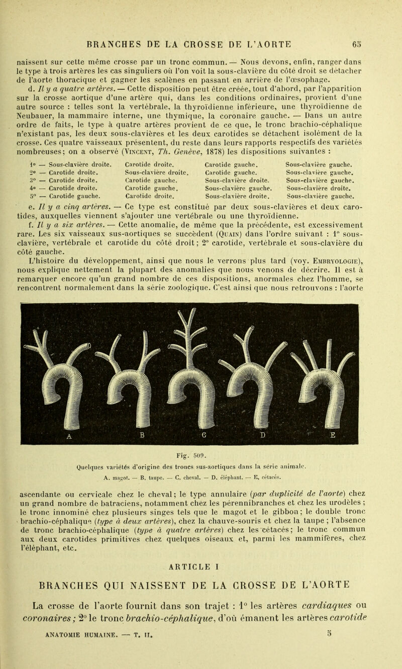naissent sur cette même crosse par un tronc commun.— Nous devons, enfin, ranger dans le type à trois artères les cas singuliers où l'on voit la sous-clavière du côté droit se détacher de l'aorte thoracique et gagner les scalènes en passant en arrière de l'œsophage. d. Il y a quatre artères.— Cette disposition peut être créée, tout d'ahord, par l'apparition sur la crosse aortique d'une artère qui, dans les conditions ordinaires, provient d'une autre source : telles sont la vertébrale, la thyroïdienne inférieure, une thyroïdienne de Neubauer, la mammaire interne, une thymique, la coronaire gauche. — Dans un autre ordre de faits, le type à quatre artères provient de ce que, le tronc brachio-céphalique n'existant pas, les deux sous-clavières et les deux carotides se détachent isolément de la crosse. Ces quatre vaisseaux présentent, du reste dans leurs rapports respectifs des variétés nombreuses; on a observé (Vincent, Th. Genève, 1878) les dispositions suivantes : Carotide gauche. Carotide gauche. Sous-clavière droite. Sous-clavière gauche. Sous-clavière droite. Sous-clavière gauche. Sous-clavière gauche. Sous-clavière gauche. Sous-clavière droite. Sous-clavière gauche. 1° — Sous-clavière droite. Carotide droite. 2° — Carotide droite. Sous-clavière droite. 3° — Carotide droite. Carotide gauche. 4° — Carotide droite. Carotide gauche. 5° — Carotide gauche. Carotide droite. e. Il y a cinq artères. — Ce type est constitué par deux sous-clavières et deux caro- tides, auxquelles viennent s'ajouter une vertébrale ou une thyroïdienne. f. Il y a six artères. — Cette anomalie, de même que la précédente, est excessivement rare. Les six vaisseaux sus-aortiques se succèdent (Quain) dans l'ordre suivant : 1° sous- clavière, vertébrale et carotide du côté droit ; 2° carotide, vertébrale et sous-clavière du côté gauche. L'histoire du développement, ainsi que nous le verrons plus tard (voy. Embryologie), nous explique nettement la plupart des anomalies que nous venons de décrire. Il est à remarquer encore qu'un grand nombre de ces dispositions, anormales chez l'homme, se rencontrent normalement dans la série zoologique. C'est ainsi que nous retrouvons : l'aorte Fig. 500. Quelques variétés d'origine des troncs sus-aortiques dans la série animale. A. masrot. — B. taupe. — C. cheval. — D. éléphant. — E, cétacés. ascendante ou cervicale chez le cheval ; le type annulaire {par duplicité de l'aorte) chez un grand nombre de batraciens, notamment chez les pérennibranches et chez les urodèles ; le tronc innominé chez plusieurs singes tels que le magot et le gibbon; le double tronc brachio-céphalique (type à deux artères), chez la chauve-souris et chez la taupe ; l'absence de tronc brachio-céphalique (type à quatre artères) chez les cétacés; le tronc commun aux deux carotides primitives chez quelques oiseaux et, parmi les mammifères, chez l'éléphant, etc. ARTICLE I BRANCHES QUI NAISSENT DE LA GROSSE DE L'AORTE La crosse de l'aorte fournit dans son trajet : 1° les artères cardiaques ou coronaires ; 2° le tronc brachio-céphalique, d'où émanent les artères carotide ANATOMIE HUMAINE. — T. II. 5