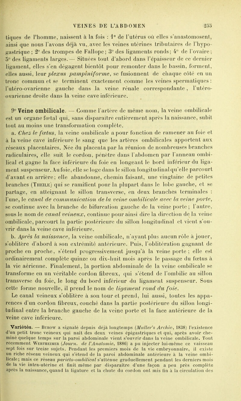 tiques de l'homme, naissent à la fois : 1° de l'utérus où elles s'anastomosent, ainsi que nous l'avons déjà vu, avec les veines utérines tributaires de l'hypo- gastrique ; 2° des trompes de Fallope; 3° des ligaments ronds; 4° de l'ovaire; 5° des ligaments larges. — Situées tout d'abord dans l'épaisseur de ce dernier ligament, elles s'en dégagent bientôt pour remonter dans le bassin, forment, elles aussi, leur plexus pampiniforme, se fusionnent de chaque côté en un tronc commun et se terminent exactement comme les veines spermatiques : l'utéro-ovarienne gauche dans la veine rénale correspondante , l'utéro- ovarienne droite dans la veine cave inférieure. 9° Veine ombilicale. — Gomme l'artère de même nom, la veine ombilicale est un organe fœtal qui, sans disparaître entièrement après la naissance, subit tout au moins une transformation complète. a. Chez le fœtus, la veine ombilicale a pour fonction de ramener au foie et à la veine cave inférieure le sang que les artères ombilicales apportent aux réseaux placentaires. Née du placenta par la réunion de nombreuses branches radiculaires, elle suit le cordon, pénètre dans l'abdomen par l'anneau ombi- lical et gagne la face inférieure du foie en longeant le bord inférieur du liga- ment suspenseur. Au foie, elle se loge dans le sillon longitudinal qu'elle parcourt d'avant en arrière; elle abandonne, chemin faisant, une vingtaine de petites branches (Titeile) qui se ramifient pour la plupart dans le lobe gauche, et se partage, en atteignant le sillon transverse, en deux branches terminales : l'une, le canal de communication de la veine ombilicale avec la veine porte, se continue avec la branche de bifurcation gauche de la veine porte ; l'autre, sous le nom de canal veineux, continue pour ainsi dire la direction de la veine ombilicale, parcourt la partie postérieure du sillon longitudinal et vient s'ou- vrir dans la veine cave inférieure. b. Après la naissance, la veine ombilicale, n'ayant plus aucun rôle à jouer, s'oblitère d'abord à son extrémité antérieure. Puis, l'oblitération gagnant de proche en proche, s'étend progressivement jusqu'à la veine porte; elle est ordinairement complète quinze ou dix-huit mois après le passage du fœtus à la vie aérienne. Finalement, la portion abdominale de la veine ombilicale se transforme en un véritable cordon fibreux, qui s'étend de l'ombilic au sillon transverse du foie, le long du bord inférieur du ligament suspenseur. Sous cette forme nouvelle, il prend le nom de ligament rond du foie. Le canal veineux s'oblitère à son tour et prend, lui aussi, toutes les appa- rences d'un cordon fibreux, couché dans la partie postérieure du sillon longi- tudinal entre la branche gauche de la veine porte et la face antérieure de la veine cave inférieure. Variétés. — Burow a signalé depuis déjà longtemps (Muller,s Archiv, 1838) l'existence d'un petit tronc veineux qui naît des deux veines épigastriques et qui, après avoir che- miné quelque temps sur la paroi abdominale vient s'ouvrir dans la veine ombilicale. Tout récemment Wertheimer (Jour?i. de VAnatomie, 1886) a pu injecter lui-même ce vaisseau sept fois sur treize sujets. Pendant les premiers mois de la vie embryonnaire, il existe un riche réseau veineux qui s'étend de la paroi abdominale antérieure à la veine ombi- licale; mais ce réseau pariêto-ombilical s'atténue graduellement pendant les derniers mois de la vie intra-utérine et finit même par disparaître d'une façon a peu près complète après la naissance, quand la ligature et la chute du cordon ont mis fin à la circulation des