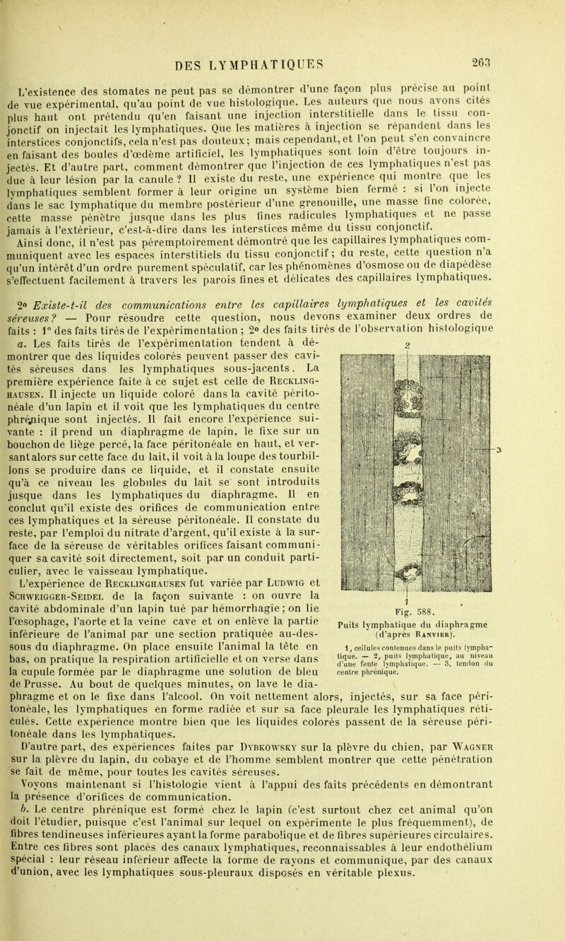 L'existence des stomates ne peut pas se démontrer d'une façon plus précise au point de vue expérimental, qu'au point de vue histologique. Les auteurs que nous avons cites plus haut ont prétendu qu'en faisant une injection interstitielle dans le tissu con- jonctif on injectait les lymphatiques. Que les matières à injection se répandent dans les interstices conjonctifs, cela n'est pas douteux; mais cependant, et l'on peut s'en convaincre en faisant des boules d'oedème artificiel, les lymphatiques sont loin d'être toujours in- jectés. Et d'autre part, comment démontrer que l'injection de ces lymphatiques n'est pas due à leur lésion par la canule ? Il existe du reste, une expérience qui montre que les lvmphatiques semblent former à leur origine un système bien fermé : si l'on injecte dans le sac lymphatique du membre postérieur d'une grenouille, une masse fine colorée, cette masse pénètre jusque dans les plus fines radicules lymphatiques et ne passe jamais à l'extérieur, c'est-à-dire dans les interstices même du tissu conjonctif. Ainsi donc, il n'est pas péremptoirement démontré que les capillaires lymphatiques com- muniquent avec les espaces interstitiels du tissu conjonctif ; du reste, cette question n'a qu'un intérêt d'un ordre purement spéculatif, car les phénomènes d'osmose ou de diapédèse s'effectuent facilement à travers les parois fines et délicates des capillaires lymphatiques. 2<> Existe-t-il des communications entre les capillaires lymphatiques et les cavités séreuses? — Pour résoudre cette question, nous devons examiner deux ordres de faits : 1° des faits tirés de l'expérimentation ; 2« des faits tirés de l'observation histologique a. Les faits tirés de l'expérimentation tendent à dé- montrer que des liquides colorés peuvent passer des cavi- tés séreuses dans les lymphatiques sous-jacents. La première expérience faite à ce sujet est celle de Reckling- hausen. Il injecte un liquide coloré dans la cavité périto- néale d'un lapin et il voit que les lymphatiques du centre phréjiique sont injectés. Il fait encore l'expérience sui- vante : il prend un diaphragme de lapin, le fixe sur un bouchon de liège percé, la face péritonéale en haut, et ver- sant alors sur cette face du lait, il voit à la loupe des tourbil- lons se produire dans ce liquide, et il constate ensuite qu'à ce niveau les globules du lait se sont introduits jusque dans les lymphatiques du diaphragme. 11 en conclut qu'il existe des orifices de communication entre ces lymphatiques et la séreuse péritonéale. Il constate du reste, par l'emploi du nitrate d'argent, qu'il existe à la sur- face de la séreuse de véritables orifices faisant communi- quer sa cavité soit directement, soit par un conduit parti- culier, avec le vaisseau lymphatique. L'expérience de Recklinghausen fut variée par Ludwig et Schweigger-Seidel de la façon suivante : on ouvre la cavité abdominale d'un lapin tué par hémorrhagie ; on lie l'œsophage, l'aorte et la veine cave et on enlève la partie inférieure de l'animal par une section pratiquée au-des- sous du diaphragme. On place ensuite l'animal la tête en bas, on pratique la respiration artificielle et on verse dans la cupule formée par le diaphragme une solution de bleu de Prusse. Au bout de quelques minutes, on lave le dia- phragme et on le fixe dans l'alcool. On voit nettement alors, injectés, sur sa face péri- tonéale, les lymphatiques en forme radiée et sur sa face pleurale les lymphatiques réti- culés. Cette expérience montre bien que les liquides colorés passent de la séreuse péri- tonéale dans les lymphatiques. D'autre part, des expériences faites par Dybkowsky sur la plèvre du chien, par Wagner sur la plèvre du lapin, du cobaye et de l'homme semblent montrer que cette pénétration se fait de même, pour toutes les cavités séreuses. Voyons maintenant si l'histologie vient à l'appui des faits précédents en démontrant la présence d'orifices de communication. b. Le centre phrénique est formé chez le lapin (c'est surtout chez cet animal qu'on doit l'étudier, puisque c'est l'animal sur lequel on expérimente le plus fréquemment), de fibres tendineuses inférieures ayant la forme parabolique et de fibres supérieures circulaires. Entre ces fibres sont placés des canaux lymphatiques, reconnaissables à leur endothélium spécial : leur réseau inférieur affecte la forme de rayons et communique, par des canaux d'union, avec les lymphatiques sous-pleuraux disposés en véritable plexus. Puits lymphatique du diaphragme (d'après Rànvier). 1, cellules contenues dans le puits lympha- tique. — 2, puits lymphatique, au niveau d'une fente lymphatique. — 3, tendon du centre phrénique.