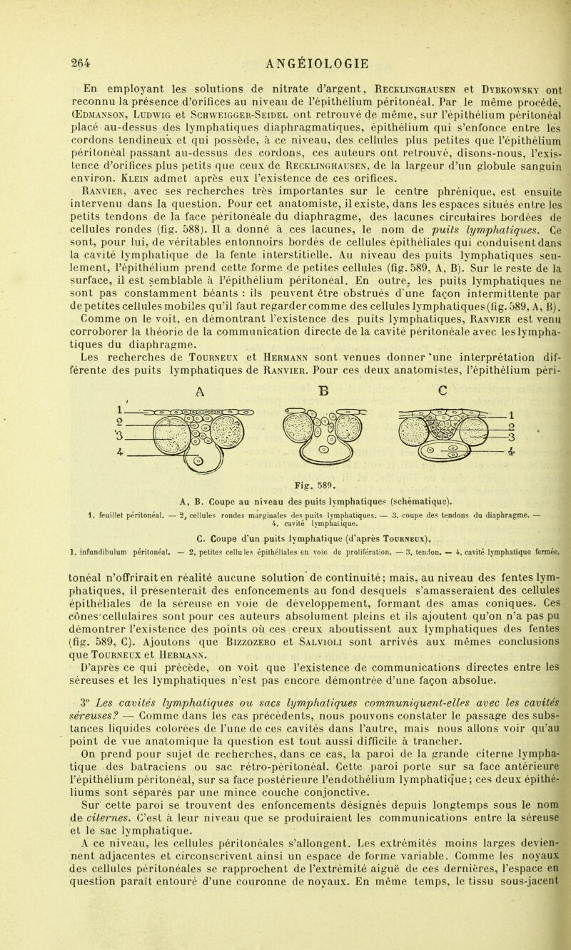 En employant les solutions de nitrate d'argent, Recklinghausen et Dybkowsky ont reconnu la présence d'orifices au niveau de l'épithélium péritonéal. Par le même procédé, Œdmanson, Ludwig et Schweigger-Seidel ont retrouvé de même, sur l'épithélium péritonéal placé au-dessus des lymphatiques diaphragmatiques, épithélium qui s'enfonce entre les cordons tendineux et qui possède, à ce niveau, des cellules plus petites que l'épithélium périlonéal passant au-dessus des cordons, ces auteurs ont retrouvé, disons-nous, l'exis- tence d'orifices plus petits que ceux de Recklinghausen, de la largeur d'un globule sanguin environ. Klein admet après eux l'existence de ces orifices. Ranvier, avec ses recherches très importantes sur le centre phrénique, est ensuite intervenu dans la question. Pour cet anatomiste, il existe, dans les espaces situés entre les petits tendons de la face péritonéale du diaphragme, des lacunes circulaires bordées de cellules rondes (fig. 588). Il a donné à ces lacunes, le nom de puits lymphatiques. Ce sont, pour lui, de véritables entonnoirs bordés de cellules épithéliales qui conduisent dans la cavité lymphatique de la fente interstitielle. Au niveau des puits lymphatiques seu- lement, l'épithélium prend cette forme de petites cellules (fig. 589, A, R). Sur le reste de la surface, il est semblable à l'épithélium péritonéal. En outre, les puits lymphatiques ne sont pas constamment béants : ils peuvent être obstrués d'une façon intermittente par de petites cellules mobiles qu'il faut regarder comme des cellules lymphatiques (fig. 589, A, fi). Comme on le voit, en démontrant l'existence des puits lymphatiques, Ranvier est venu corroborer la théorie de la communication directe de la cavité péritonéale avec les lympha- tiques du diaphragme. Les recherches de Tourneux et Hermann sont venues donner *une interprétation dif- férente des puits lymphatiques de Ranvier. Pour ces deux anatomistes, l'épithélium péri- ABC Fig. 589. A, B. Coupe au niveau des puits lymphatiques (schématique). 1. feuillet péritonéal. — 2, cellules rondes marginales des puits lymphatiques. — 3. coupe des tendons du diaphragme. — 4, cavité lymphatique. C. Coupe d'un puits lymphatique (d'après Todrneux). 1. infundibulum péritonéal. — 2. petites cellules épithéliales en voie de prolifération. —3, tendon. — 4. cavité lymphatique fermée. tonéal n'offrirait en réalité aucune solution de continuité; mais, au niveau des fentes lym- phatiques, il présenterait des enfoncements au fond desquels s'amasseraient des cellules épithéliales de la séreuse en voie de développement, formant des amas coniques. Ces cônes cellulaires sont pour ces auteurs absolument pleins et ils ajoutent qu'on n'a pas pu démontrer l'existence des points où ces creux aboutissent aux lymphatiques des fentes (fig. 589, C). Ajoutons que Rizzozero et Salvioli sont arrivés aux mêmes conclusions que Tourneux et Hermann. D'après ce qui précède, on voit que l'existence de communications directes entre les séreuses et les lymphatiques n'est pas encore démontrée d'une façon absolue. 3° Les cavités lymphatiques ou sacs lymphatiques communiquent-elles avec les cavités séreuses? — Comme dans les cas précédents, nous pouvons constater le passage des subs- tances liquides colorées de l'une de ces cavités dans l'autre, mais nous allons voir qu'au point de vue anatomique la question est tout aussi difficile à trancher. On prend pour sujet de recherches, dans ce cas, la paroi de la grande citerne lympha- tique des batraciens ou sac rétro-péritonéal. Cette paroi porte sur sa face antérieure l'épithélium péritonéal, sur sa face postérieure l'endothélium lymphatiq'ue ; ces deux épithé- liums sont séparés par une mince couche conjonctive. Sur cette paroi se trouvent des enfoncements désignés depuis longtemps sous le nom de citernes. C'est à leur niveau que se produiraient les communications entre la séreuse et le sac lymphatique. A ce niveau, les cellules péritonéales s'allongent. Les extrémités moins larges devien- nent adjacentes et circonscrivent ainsi un espace de forme variable. Comme les noyaux des cellules péritonéales se rapprochent de l'extrémité aiguë de ces dernières, l'espace en question paraît entouré d'une couronne de noyaux. En même temps, le tissu sous-jacent