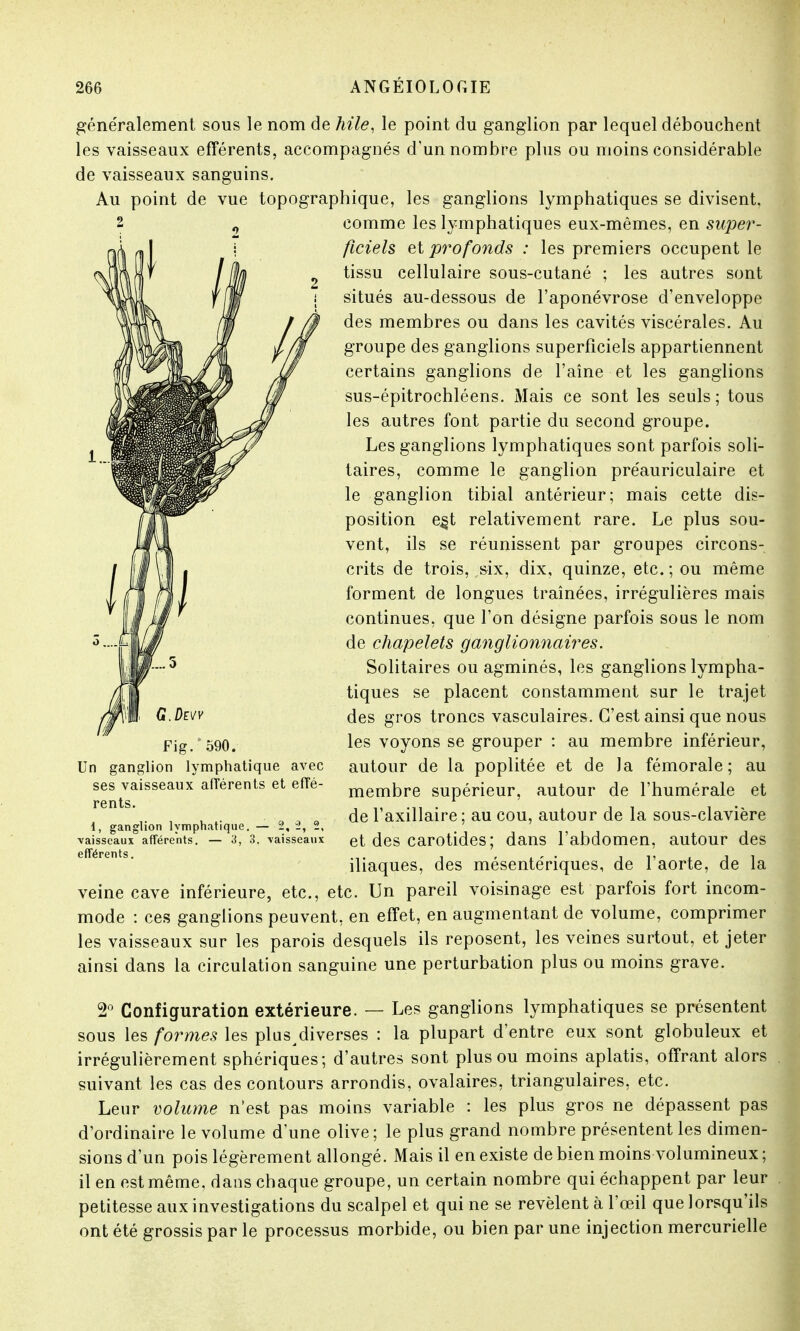 généralement sous le nom de hile, le point du ganglion par lequel débouchent les vaisseaux efférents, accompagnés d'un nombre plus ou moins considérable de vaisseaux sanguins. Au point de vue topographique, les ganglions lymphatiques se divisent, 2 0 comme les lymphatiques eux-mêmes, en super- ficiels et profonds : les premiers occupent le tissu cellulaire sous-cutané ; les autres sont situés au-dessous de l'aponévrose d'enveloppe des membres ou dans les cavités viscérales. Au groupe des ganglions superficiels appartiennent certains ganglions de l'aîne et les ganglions sus-épitrochléens. Mais ce sont les seuls ; tous les autres font partie du second groupe. Les ganglions lymphatiques sont parfois soli- taires, comme le ganglion préauriculaire et le ganglion tibial antérieur; mais cette dis- position e^t relativement rare. Le plus sou- vent, ils se réunissent par groupes circons- crits de trois, six, dix, quinze, etc.; ou même forment de longues traînées, irrégulières mais continues, que l'on désigne parfois sous le nom de chapelets ganglionnaires. Solitaires ou agminés, les ganglions lympha- tiques se placent constamment sur le trajet des gros troncs vasculaires. C'est ainsi que nous les voyons se grouper : au membre inférieur, autour de la poplitée et de la fémorale; au membre supérieur, autour de l'humérale et de l'axillaire; au cou, autour de la sous-clavière et des carotides; dans l'abdomen, autour des iliaques, des mésentériques, de l'aorte, de la veine cave inférieure, etc., etc. Un pareil voisinage est parfois fort incom- mode : ces ganglions peuvent, en effet, en augmentant de volume, comprimer les vaisseaux sur les parois desquels ils reposent, les veines surtout, et jeter ainsi dans la circulation sanguine une perturbation plus ou moins grave. Un ganglion lymphatique avec ses vaisseaux afférents et effé- rents. 1, ganglion lymphatique. — 2, 2, 2, vaisseaux afférents. — à, 3. -vaisseaux efférents. 2° Configuration extérieure. — Les ganglions lymphatiques se présentent sous les formes les plus diverses : la plupart d'entre eux sont globuleux et irrégulièrement sphériques; d'autres sont plus ou moins aplatis, offrant alors suivant les cas des contours arrondis, ovalaires, triangulaires, etc. Leur volume n'est pas moins variable : les plus gros ne dépassent pas d'ordinaire le volume d'une olive ; le plus grand nombre présentent les dimen- sions d'un pois légèrement allongé. Mais il en existe de bien moins volumineux; il en est même, dans chaque groupe, un certain nombre qui échappent par leur petitesse aux investigations du scalpel et qui ne se révèlent à l'œil que lorsqu'ils ont été grossis par le processus morbide, ou bien par une injection mercurielle