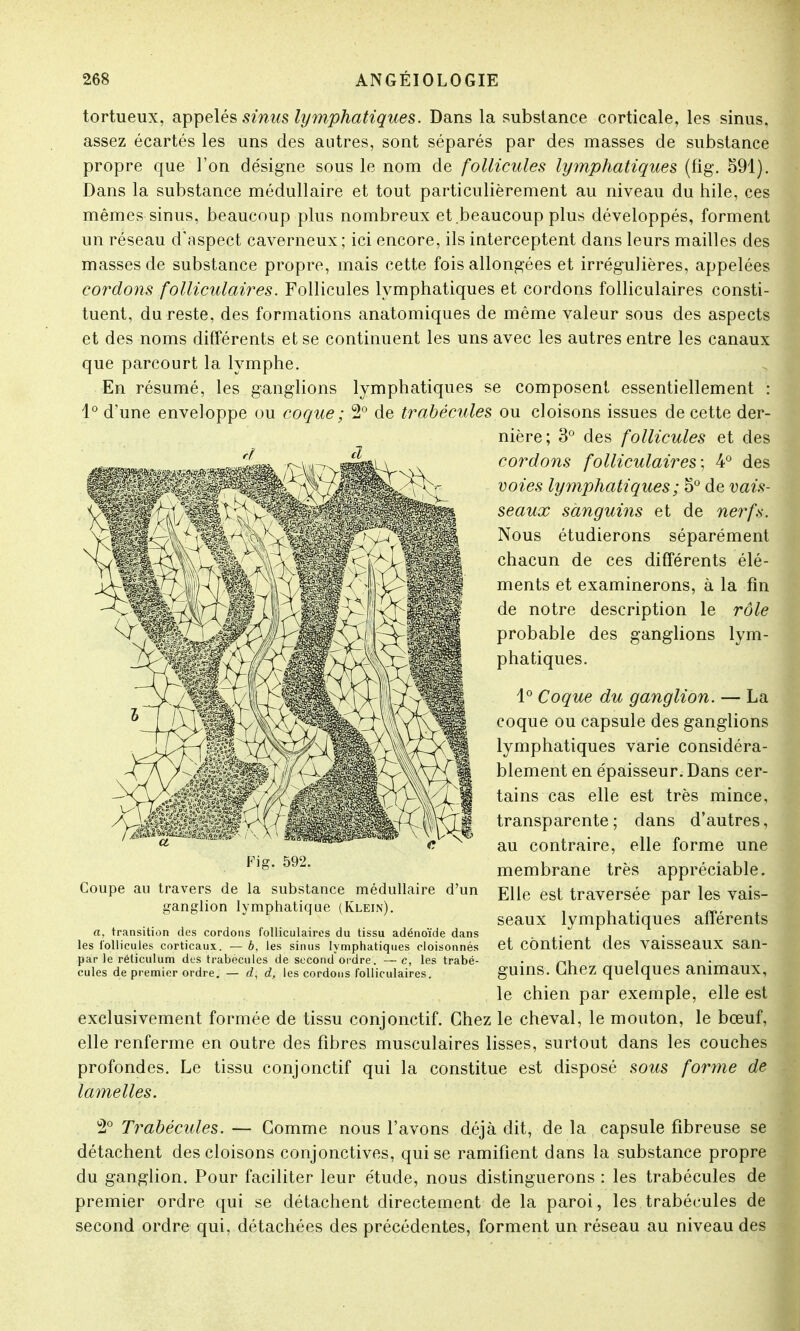tortueux, appelés sinus lymphatiques. Dans la substance corticale, les sinus, assez écartés les uns des autres, sont séparés par des masses de substance propre que l'on désigne sous le nom de follicules lymphatiques (fig. 591). Dans la substance médullaire et tout particulièrement au niveau du hile, ces mêmes sinus, beaucoup plus nombreux et beaucoup plus développés, forment un réseau d'aspect caverneux ; ici encore, ils interceptent dans leurs mailles des masses de substance propre, mais cette fois allongées et irrégulières, appelées cordons folliculaires. Follicules lymphatiques et cordons folliculaires consti- tuent, du reste, des formations anatomiques de même valeur sous des aspects et des noms différents et se continuent les uns avec les autres entre les canaux que parcourt la lymphe. En résumé, les ganglions lymphatiques se composent essentiellement : 1° d'une enveloppe ou coque ; 2° de trabécules ou cloisons issues de cette der- nière; 3° des follicules et des cordons folliculaires; 4° des voies lymphatiques ; 5° de vais- seaux sanguins et de nerfs. Nous étudierons séparément chacun de ces différents élé- ments et examinerons, à la fin de notre description le rôle probable des ganglions lym- phatiques. 1° Coque du ganglion. — La coque ou capsule des ganglions lymphatiques varie considéra- blement en épaisseur. Dans cer- tains cas elle est très mince, transparente; dans d'autres, au contraire, elle forme un membrane très appréciable. Elle est traversée par les vais seaux lymphatiques afférents et contient des vaisseaux san- guins. Chez quelques animaux, le chien par exemple, elle es1 exclusivement formée de tissu conjonctif. Chez le cheval, le mouton, le bœuf elle renferme en outre des fibres musculaires lisses, surtout dans les couche profondes. Le tissu conjonctif qui la constitue est disposé sous forme d lamelles. 2° Trabécules. — Gomme nous l'avons déjà dit, de la capsule fibreuse s détachent des cloisons conjonctives, qui se ramifient dans la substance propr du ganglion. Pour faciliter leur étude, nous distinguerons : les trabécules d premier ordre qui se détachent directement de la paroi, les trabécules d second ordre qui, détachées des précédentes, forment un réseau au niveau des Fig. 592 Coupe au travers de la substance médullaire d'un ganglion lymphatique (Klein). a, transition des cordons folliculaires du tissu adénoïde dans les follicules corticaux. — b, les sinus lymphatiques cloisonnés par le réticulum des trabécules de second ordre. — c, les trabé- cules de premier ordre. — d, d, les cordons folliculaires.
