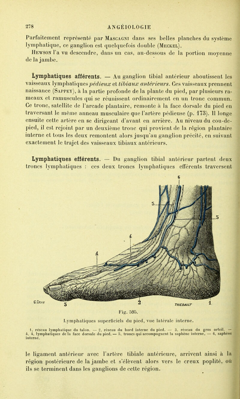 Parfaitement représenté par Mascagni dans ses belles planches du système lymphatique, ce ganglion est quelquefois double (Meckel). Hewson l'a vu descendre, dans un cas, au-dessous de la portion moyenne de la jambe. Lymphatiques afférents. — Au ganglion tibial antérieur aboutissent les vaisseaux lymphatiquespédieux et tibiaux antérieurs. Ces vaisseaux prennent naissance (Sappey), à la partie profonde de la plante du pied, par plusieurs ra- meaux et ramuscules qui se réunissent ordinairement en un tronc commun. Ce tronc, satellite de l'arcade plantaire, remonte à la face dorsale du pied en traversant le même anneau musculaire que l'artère pédieuse (p. 173). Il longe ensuite cette artère en se dirigeant d'avant en arrière. Au niveau du cou-de- pied, il est rejoint par un deuxième tronc qui provient de la région plantaire interne et tous les deux remontent alors jusqu'au ganglion précité, en suivant exactement le trajet des vaisseaux tibiaux antérieurs. Lymphatiques efférents. — Du ganglion tibial antérieur partent deux troncs lymphatiques : ces deux troncs lymphatiques efférents traversent 1, réseau lymphatique du talon. — 2, réseau du bord interne du pied. — 3, réseau du gros orteil. 4, 4, lymphatiques de la face dorsale du pied. — 5, troncs qui accompagnent la saphène interne. — 6, saphè interne. le ligament antérieur avec l'artère tibiale antérieure, arrivent ainsi à la région postérieure de la jambe et s'élèvent alors vers le creux poplité, où ils se terminent dans les ganglions de cette région.
