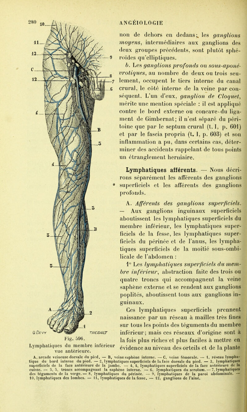 G.Devv non de dehors en dedans;^ les ganglions moyens, intermédiaires aux ganglions des deux groupes précédents, sont plutôt sphé- roïdes qu'elliptiques. b. Les ganglions profonds ou sous-aponé- vrotiques, au nombre de deux ou trois seu- lement, occupent le tiers interne du canal crural, le côté interne de la veine par con- séquent. L'un d'eux, ganglion de C loquet, mérite une mention spéciale : il est appliqué contre le bord externe ou concave-du liga- ment de Gimbernat; il n'est séparé du péri- toine que par le septum crural (t. I, p. 601) et par le fascia propria (t. I, p. 603) et son inflammation a pu, dans certains cas, déter- miner des accidents rappelant de tous points un étranglement herniaire. Lymphatiques afférents. — Nous décri- rons séparément les afférents des ganglions superficiels et les afférents des ganglions profonds. A. Afférents des ganglions superficiels. — Aux ganglions inguinaux superficiels aboutissent les lymphatiques superficiels du membre inférieur, les lymphatiques super- ficiels de la fesse, les lymphatiques super- ficiels du périnée et de l'anus, les lympha- tiques superficiels de la moitié sous-ombi- licale de l'abdomen : 1° Les lymphatiques superficiels du mem- bre inférieur, abstraction faite des trois ou quatre troncs qui accompagnent la veine saphène externe et se rendent aux ganglions poplités, aboutissent tous aux ganglions in- guinaux. Ces lymphatiques superficiels prennent naissance par un réseau à mailles très fines sur tous les points des téguments du membre inférieur; mais ces réseaux d'origine sont à la fois plus riches et plus faciles à mettre en évidence au niveau des orteils et de la plante Fig. 596. Lymphatiques du membre inférieur vue antérieure. A, arcade veineuse dorsale du pied. — B, veine saphène interne. — C, veine fémorale. — i, réseau lympha- tique du bord interne du pied. —2, lymphatiques superficiels de la face dorsale du pied. — 3, lymphatiques superficiels de la face antérieure de la jambe. — 4, 4, lymphatiques superflciels de la face antérieure de la cuisse. — 5, 5, troncs accompagnant la saphène interne. — 6, lymphatiques du scrotum. — 7, lymphatiques des téguments de la verge.— 8, lymphatiques du périnée. — 9, lymphatiques de la paroi abdominale. — 10, lymphatiques des lombes. — 11, lymphatiques de la fesse. — 12, ganglions de l'aine.