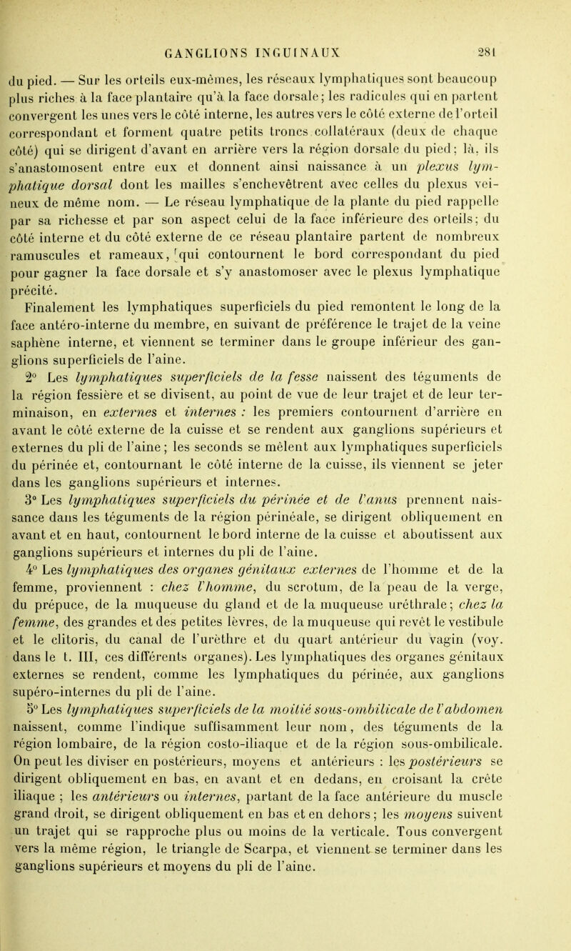 du pied. — Sur les orteils eux-mêmes, les réseaux lymphatiques sont beaucoup plus riches à la face plantaire qu'à la face dorsale; les radicules qui en partent convergent les unes vers le côté interne, les autres vers le côté externe de l'orteil correspondant et forment quatre petits troncs collatéraux (deux de chaque côté) qui se dirigent d'avant en arrière vers la région dorsale du pied; là, ils s'anastomosent entre eux et donnent ainsi naissance à un plexus lym- phatique dorsal dont les mailles s'enchevêtrent avec celles du plexus vei- neux de même nom. — Le réseau lymphatique de la plante du pied rappelle par sa richesse et par son aspect celui de la face inférieure des orteils ; du côté interne et du côté externe de ce réseau plantaire partent de nombreux minuscules et rameaux, [qui contournent le bord correspondant du pied pour gagner la face dorsale et s'y anastomoser avec le plexus lymphatique précité. Finalement les lymphatiques superficiels du pied remontent le long de la face antéro-interne du membre, en suivant de préférence le trajet de la veine saphène interne, et viennent se terminer dans le groupe inférieur des gan- glions superficiels de l'aine. 2° Les lymphatiques superficiels de la fesse naissent des téguments de la région fessière et se divisent, au point de vue de leur trajet et de leur ter- minaison, en externes et internes : les premiers contournent d'arrière en avant le côté externe de la cuisse et se rendent aux ganglions supérieurs et externes du pli de l'aine ; les seconds se mêlent aux lymphatiques superficiels du périnée et, contournant le côté interne de la cuisse, ils viennent se jeter dans les ganglions supérieurs et internes. 3° Les lymphatiques superficiels du périnée et de l'anus prennent nais- sance dans les téguments de la région périnéale, se dirigent obliquement en avant et en haut, contournent le bord interne de la cuisse et aboutissent aux ganglions supérieurs et internes du pli de l'aine. 4° Les lymphatiques des organes génitaux externes de l'homme et de la femme, proviennent : chez l'homme, du scrotum, de la peau de la verge, du prépuce, de la muqueuse du gland et de la muqueuse uréthrale; chez la femme, des grandes et des petites lèvres, de la muqueuse qui revêt le vestibule et le clitoris, du canal de l'urèthre et du quart antérieur du vagin (voy. dans le t. III, ces différents organes). Les lymphatiques des organes génitaux externes se rendent, comme les lymphatiques du périnée, aux ganglions supéro-internes du pli de l'aine. 5° Les lymphatiques superficiels de la moitié sous-ombilicale de l'abdomen naissent, comme l'indique suffisamment leur nom, des téguments de la région lombaire, de la région costo-iliaque et de la région sous-ombilicale. On peut les diviser en postérieurs, moyens et antérieurs : les postérieurs se dirigent obliquement en bas, en avant et en dedans, en croisant la crête iliaque ; les antérieurs ou internes, partant de la face antérieure du muscle grand droit, se dirigent obliquement en bas et en dehors ; les moyens suivent un trajet qui se rapproche plus ou moins de la verticale. Tous convergent vers la même région, le triangle de Scarpa, et viennent se terminer dans les ganglions supérieurs et moyens du pli de l'aine.