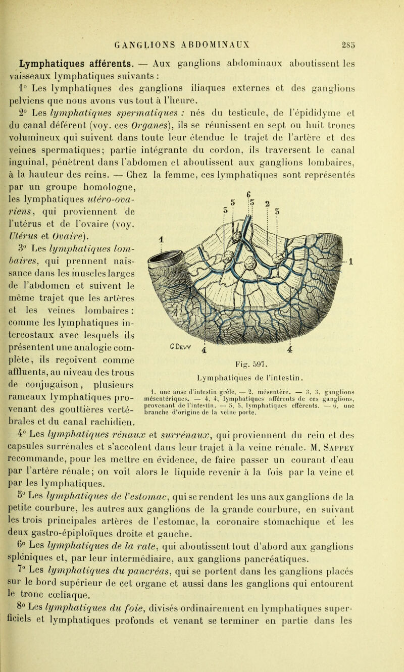G ANGLTONS ABDOMINAUX 283 Lymphatiques afférents. — Aux ganglions abdominaux aboutissent les vaisseaux lymphatiques suivants : 1° Les lymphatiques des ganglions iliaques externes et des ganglions pelviens que nous avons vus tout à l'heure. 2° Les lymphatiques spermatiques : nés du testicule, de l'épididyme et du canal déférent (voy. ces Organes), ils se réunissent en sept ou huit troncs volumineux qui suivent dans toute leur étendue le trajet de l'artère et des veines spermatiques; partie intégrante du cordon, ils traversent le canal inguinal, pénètrent dans l'abdomen et aboutissent aux ganglions lombaires, à la hauteur des reins. — Chez la femme, ces lymphatiques sont représentés par un groupe homologue, les lymphatiques utéro-ova- fiens, qui proviennent de l'utérus et de l'ovaire (voy. Utérus et Ovaire). 3° Les lymphatiques lom- baires, qui prennent nais- sance dans les muscles larges de l'abdomen et suivent le même trajet que les artères et les veines lombaires : comme les lymphatiques in- tercostaux avec lesquels ils présentent une analogie com- plète , ils reçoivent comme affluents, au niveau des trous de conjugaison, plusieurs rameaux lymphatiques pro- venant des gouttières verté- brales et du canal rachidien. 4° Les lymphatiques rénaux et surrénaux, qui proviennent du rein et des capsules surrénales et s'accolent dans leur trajet à la veine rénale. M. Sappey recommande, pour les mettre en évidence, de faire passer un courant d'eau par l'artère rénale; on voit alors le liquide revenir à la fois par la veine et par les lymphatiques. 5° Les lymphatiques de Vestomac, qui se rendent les uns aux ganglions de la petite courbure, les autres aux ganglions de la grande courbure, en suivant les trois principales artères de l'estomac, la coronaire stomachique et les deux gastro-épiploïques droite et gauche. 6° Les lymphatiques de la rate, qui aboutissent tout d'abord aux ganglions spléniques et, par leur intermédiaire, aux ganglions pancréatiques. 7° Les lymphatiques du pancréas, qui se portent dans les ganglions placés sur le bord supérieur de cet organe et aussi dans les ganglions qui entourent le tronc cœliaque. 8° Les lymphatiques du foie, divisés ordinairement en lymphatiques super- ficiels et lymphatiques profonds et venant se terminer en partie dans les G.Devy Fig. 597. Lymphatiques de l'intestin. 1. une anse d'intestin grêle.— 2, mésentère. — 3, 3, ganglions mésentériques. — 4, 4,lymphatiques afférents de ces ganglions, provenant de l'intestin. —5, 5, lymphatiques efférents. —o, une branche d'origine de la veine porte.