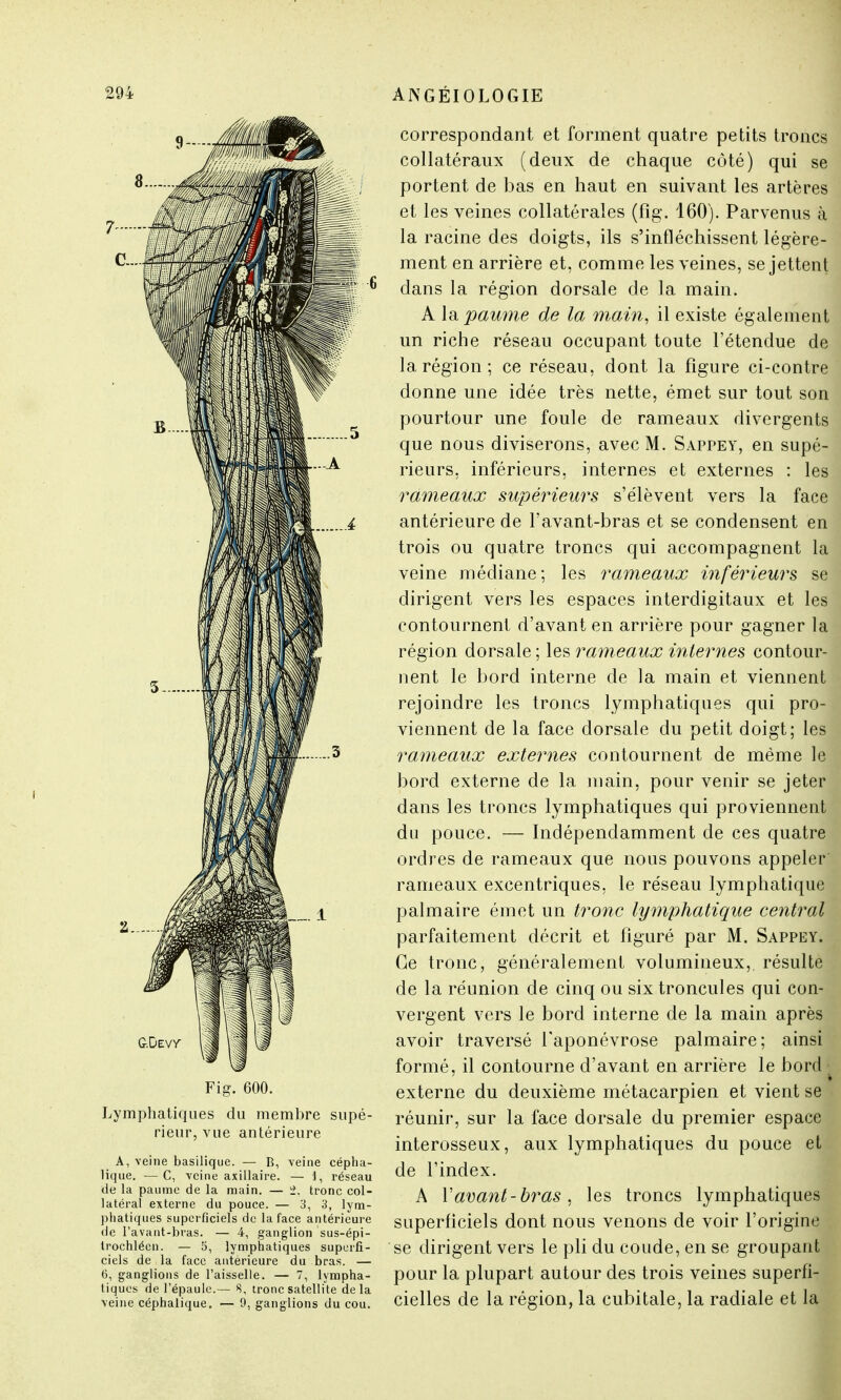 Fig. 600. Lymphatiques du membre supé- rieur, vue antérieure A, veine basilique. — B, veine cépha- lique. —C, veine axillaire. — 1, réseau de la paume de la main. — i\ tronc col- latéral externe du pouce. — 3, 3, lym- phatiques superficiels de la face antérieure de l'avant-bras. — 4, ganglion sus-épi- trochléen. — 5, lymphatiques superfi- ciels de la face antérieure du bras. — 6, ganglions de l'aisselle. — 7, lympha- tiques de l'épaule.— 8, tronc satellite delà veine céphalique. — 9, ganglions du cou. correspondant et forment quatre petits troncs collatéraux (deux de chaque côté) qui se portent de bas en haut en suivant les artères et les veines collatérales (fig. 160). Parvenus à la racine des doigts, ils s'infléchissent légère- ment en arrière et, comme les veines, se jettent dans la région dorsale de la main. A la paume de la main, il existe également un riche réseau occupant toute l'étendue de la région ; ce réseau, dont la figure ci-contre donne une idée très nette, émet sur tout son pourtour une foule de rameaux divergents que nous diviserons, avec M. Sappey, en supé- rieurs, inférieurs, internes et externes : les rameaux supérieurs s'élèvent vers la face antérieure de l'avant-bras et se condensent en trois ou quatre troncs qui accompagnent la veine médiane; les rameaux inférieurs se dirigent vers les espaces interdigitaux et les contournent d'avant en arrière pour gagner la région dorsale ; les rameaux internes contour- nent le bord interne de la main et viennent rejoindre les troncs lymphatiques qui pro- viennent de la face dorsale du petit doigt; les rameaux externes contournent de même le bord externe de la main, pour venir se jeter dans les troncs lymphatiques qui proviennent du pouce. — Indépendamment de ces quatre ordres de rameaux que nous pouvons appeler rameaux excentriques, le réseau lymphatique palmaire émet un tronc lymphatique central parfaitement décrit et figuré par M. Sappey. Ce tronc, généralement volumineux,, résulte de la réunion de cinq ou sixtroncules qui con- vergent vers le bord interne de la main après avoir traversé l'aponévrose palmaire; ainsi formé, il contourne d'avant en arrière le bord externe du deuxième métacarpien et vient se réunir, sur la face dorsale du premier espace interosseux, aux lymphatiques du pouce et de l'index. A Y avant-bras , les troncs lymphatiques superficiels dont nous venons de voir l'origine se dirigent vers le pli du coude, en se groupant pour la plupart autour des trois veines superfi- cielles de la région, la cubitale, la radiale et la