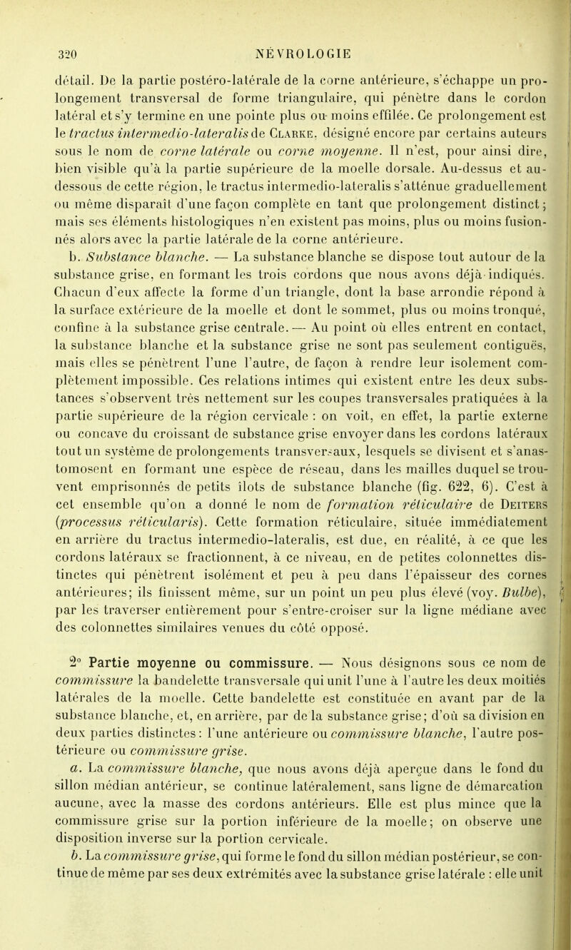 détail. De la partie postéro-latérale de la corne antérieure, s'échappe un pro- longement transversal de forme triangulaire, qui pénètre dans le cordon latéral et s'y termine en une pointe plus ou- moins effilée. Ce prolongement est le tractus intermedio-latéralisée Clarke, désigné encore par certains auteurs sous le nom de corne latérale ou corne moyenne. Il n'est, pour ainsi dire, bien visible qu'à la partie supérieure de la moelle dorsale. Au-dessus et au- dessous de cette région, le tractus intermedio-lateralis s'atténue graduellement ou même disparaît d'une façon complète en tant que prolongement distinct ; mais ses éléments histologiques n'en existent pas moins, plus ou moins fusion- nés alors avec la partie latérale de la corne antérieure. b. Substance blanche. — La substance blanche se dispose tout autour de la substance grise, en formant les trois cordons que nous avons déjà-indiqués. Chacun d'eux affecte la forme d'un triangle, dont la base arrondie répond à la surface extérieure de la moelle et dont le sommet, plus ou moins tronqué, confine à la substance grise centrale.— Au point où elles entrent en contact, la substance blanche et la substance grise ne sont pas seulement contiguës, mais elles se pénètrent l'une l'autre, de façon à rendre leur isolement com- plètement impossible. Ces relations intimes qui existent entre les deux subs- tances s'observent très nettement sur les coupes transversales pratiquées à la partie supérieure de la région cervicale : on voit, en effet, la partie externe ou concave du croissant de substance grise envoyer dans les cordons latéraux tout un système de prolongements transversaux, lesquels se divisent et s'anas- tomosent en formant une espèce de réseau, dans les mailles duquel se trou- vent emprisonnés de petits îlots de substance blanche (fîg. 622, 6). C'est à cet ensemble qu'on a donné le nom de formation réticulaire de Deiters (processus réticularis). Cette formation réticulaire, située immédiatement en arrière du tractus intermedio-lateralis, est due, en réalité, à ce que les cordons latéraux se fractionnent, à ce niveau, en de petites colonnettes dis- tinctes qui pénètrent isolément et peu à peu dans l'épaisseur des cornes antérieures; ils finissent même, sur un point un peu plus élevé (voy. Bulbe), par les traverser entièrement pour s'entre-croiser sur la ligne médiane avec des colonnettes similaires venues du côté opposé. 2° Partie moyenne ou commissure. — Nous désignons sous ce nom de commissure la bandelette transversale qui unit l'une à l'autre les deux moitiés latérales de la moelle. Cette bandelette est constituée en avant par de la substance blanche, et, en arrière, par de la substance grise; d'où sa division en deux parties distinctes : l'une antérieure ou commissure blanche, l'autre pos- térieure ou commissure grise. a. La commissure blanche, que nous avons déjà aperçue dans le fond du sillon médian antérieur, se continue latéralement, sans ligne de démarcation aucune, avec la masse des cordons antérieurs. Elle est plus mince que la commissure grise sur la portion inférieure de la moelle; on observe une disposition inverse sur la portion cervicale. b. La commissure grise, qui forme le fond du sillon médian postérieur, se con- tinue de même par ses deux extrémités avec la substance grise latérale : elle unit