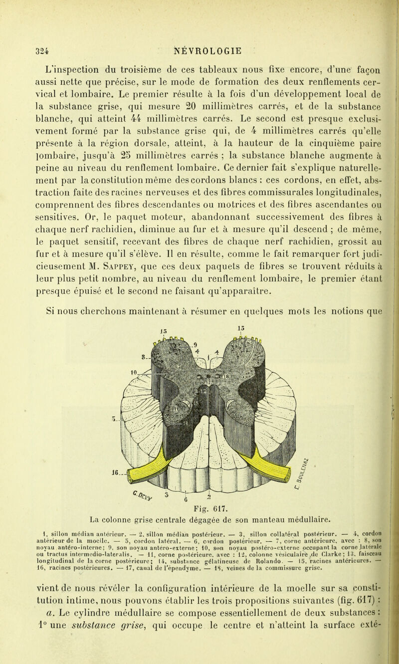 L'inspection du troisième de ces tableaux nous fixe encore, d'une façon aussi nette que précise, sur le mode de formation des deux renflements cer- vical et lombaire. Le premier résulte à la fois d'un développement local de la substance grise, qui mesure 20 millimètres carrés, et de la substance blanche, qui atteint 44 millimètres carrés. Le second est presque exclusi- vement formé par la substance grise qui, de 4 millimètres carrés qu'elle présente à la région dorsale, atteint, à la hauteur de la cinquième paire lombaire, jusqu'à 25 millimètres carrés ; la substance blanche augmente à peine au niveau du renflement lombaire. Ce dernier fait s'explique naturelle- ment par la constitution même des cordons blancs : ces cordons, en effet, abs- traction faite des racines nerveuses et des fibres commissurales longitudinales, comprennent des fibres descendantes ou motrices et des fibres ascendantes ou sensitives. Or, le paquet moteur, abandonnant successivement des fibres à chaque nerf rachidien, diminue au fur et à mesure qu'il descend ; de même, le paquet sensitif, recevant des fibres de chaque nerf rachidien, grossit au fur et à mesure qu'il s'élève. Il en résulte, comme le fait remarquer fort judi- cieusement M. Sappey, que ces deux paquets de fibres se trouvent réduits à leur plus petit nombre, au niveau du renflement lombaire, le premier étant presque épuisé et le second ne faisant qu'apparaître. Si nous cherchons maintenant à résumer en quelques mots les notions que Fig. 617. La colonne grise centrale dégagée de son manteau médullaire. 1, sillon médian antérieur. — 2, sillon médian postérieur. — 3, sillon collatéral postérieur. — 4, cordon antérieur de la moelle. — o, cordon latéral. — 6, cordon postérieur. — 7, corne antérieure, avec : 8, son noyau antéro-interne ; 9, son noyau antéro-externe ; 10, son noyau postéro-externe occupant la corne .latérale ou tractus intermedio-lateralis. — 11, corne postérieure, avec : 12, colonne vésiculairè ,de Clarke ; 13. faisceau longitudinal de la corne postérieure; 14. substance gélatineuse de Rolando. — 15, racines antérieures. — 16, racines postérieures. — 17, canal de l'épendyme. — 1S, veines de la commissure grise. vient de nous révéler la configuration intérieure de la moelle sur sa consti- tution intime, nous pouvons établir les trois propositions suivantes (fig. 617) : a. Le cylindre médullaire se compose essentiellement de deux substances : 1° une substance grise, qui occupe le centre et n'atteint la surface exté-