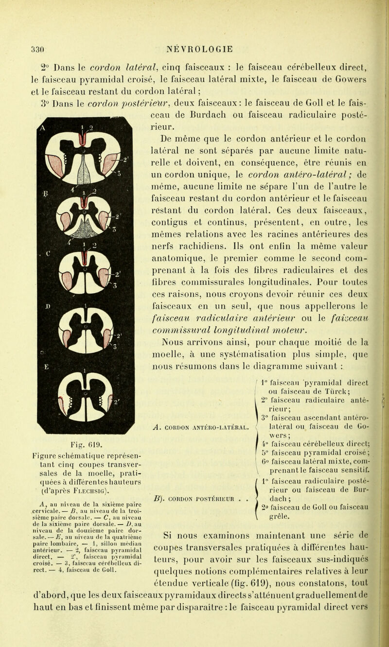 2° Dans le cordon latéral, cinq faisceaux : le faisceau ce'rébelleux direct, le faisceau pyramidal croisé, le faisceau latéral mixte, le faisceau de Gowers et le faisceau restant du cordon latéral ; 3° Dans le cordon postérieur, deux faisceaux: le faisceau de Goll et le fais- ceau de Burdach ou faisceau radiculaire posté- rieur. De même que le cordon antérieur et le cordon latéral ne sont séparés par aucune limite natu- relle et doivent, en conséquence, être réunis en un cordon unique, le cordon antèro-latéral ; de même, aucune limite ne sépare l'un de l'autre le faisceau restant du cordon antérieur et le faisceau restant du cordon latéral. Ces deux faisceaux, contigus et continus, présentent, en outre, les mêmes relations avec les racines antérieures des nerfs rachidiens. Ils ont enfin la même valeur anatomique, le premier comme le second com- prenant à la fois des fibres radiculaires et des fibres commissurales longitudinales. Pour toutes ces raisons, nous croyons devoir réunir ces deux faisceaux en un seul, que nous appellerons le faisceau radiculaire antérieur ou le faisceau commissural longitudinal moteur. Nous arrivons ainsi, pour chaque moitié de la moelle, à une systématisation plus simple, que nous résumons clans le diagramme suivant : B 4' i /- A. CORDON ANTÉRO-LATÉRAL. Fi g. 619. Figure schématique représen- tant cinq coupes transver- sales de la moelle, prati- quées à différentes hauteurs (d'après Flechsig). A, au niveau de la sixième paire cervicale.— B, au niveau de la troi- sième paire dorsale. — C, au niveau de la sixième paire dorsale. — I). au niveau de la douzième paire dor- sale.— E, au niveau de la quatrième paire lombaire, — 1, sillon médian antérieur. — 2, faisceau pyramidal direct. — 2', faisceau pyramidal croisé. — 3, faisceau cérébelleux di- rect. — 4, faisceau de Goll. B). CORDON POSTÉRIEUR / 1° faisceau pyramidal direct ou faisceau de Tiïrck; 2° faisceau radiculaire anté- rieur; 3° faisceau ascendant antéro- latéral ou faisceau de Go- I vers ; / 4° faisceau cérébelleux direct; 5° faisceau pyramidal croisé; 6° faisceau latéral mixte, com- \ prenant le faisceau sensitif. 1° faisceau radiculaire posté- rieur ou faisceau de Bur- dach ; 2° faisceau de Goll ou faisceau grêle. Si nous examinons maintenant une série de coupes transversales pratiquées à différentes hau- teurs, pour avoir sur les faisceaux sus-indiqués quelques notions complémentaires relatives à leur étendue verticale (fîg. 619), nous constatons, tout d'abord, que les deux faisceaux pyramidaux directs s'atténuentgraduellement de haut en bas et finissent même par disparaître : le faisceau pyramidal direct vers