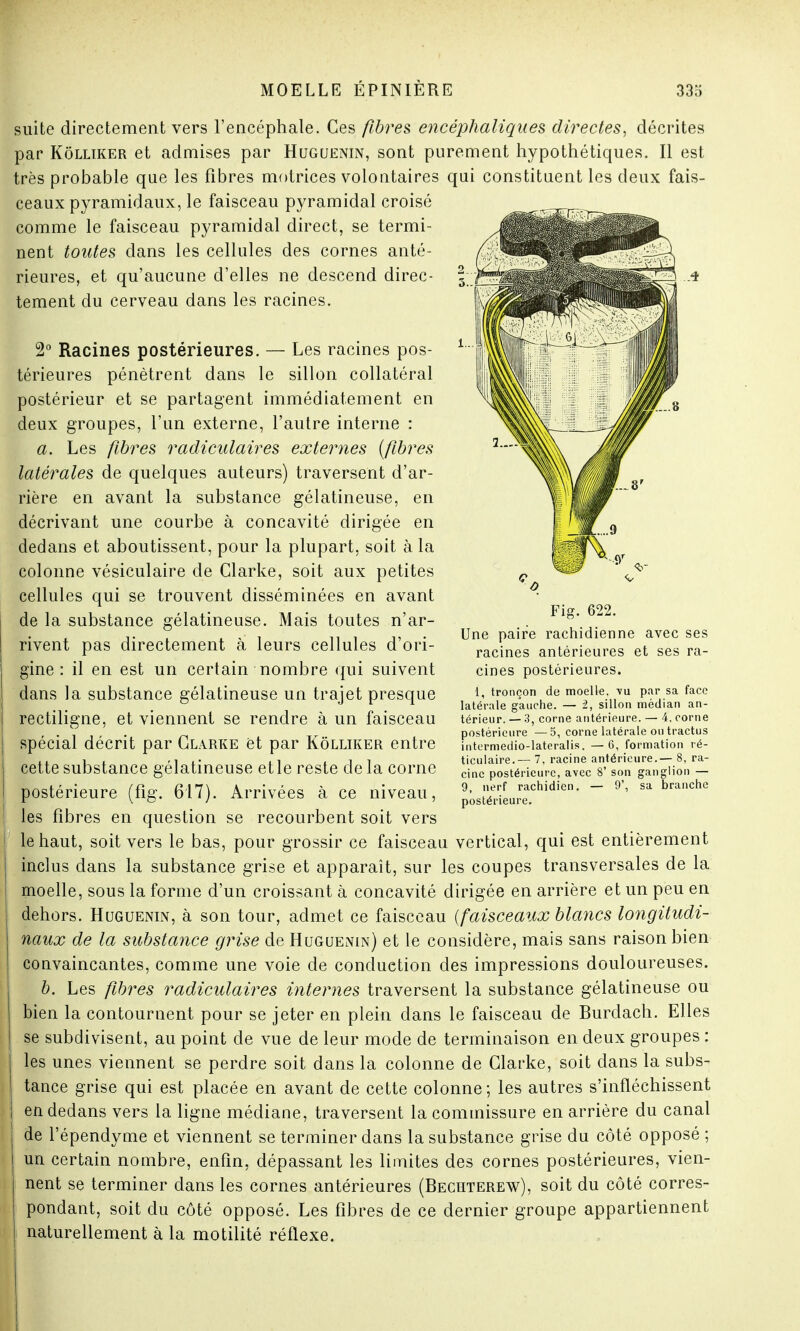 suite directement vers l'encéphale. Ces fibres encéphaliques directes, décrites par Kôlltker et admises par Huguenin, sont purement hypothétiques. Il est très probable que les fibres motrices volontaires qui constituent les deux fais- ceaux pyramidaux, le faisceau pyramidal croisé comme le faisceau pyramidal direct, se termi- nent toutes dans les cellules des cornes anté- rieures, et qu'aucune d'elles ne descend direc- tement du cerveau dans les racines. 2° Racines postérieures. — Les racines pos- térieures pénètrent dans le sillon collatéral postérieur et se partagent immédiatement en deux groupes, l'un externe, l'autre interne : a. Les fibres radiculaires externes (fibres latérales de quelques auteurs) traversent d'ar- rière en avant la substance gélatineuse, en décrivant une courbe à concavité dirigée en dedans et aboutissent, pour la plupart, soit à la colonne vésiculaire de Glarke, soit aux petites cellules qui se trouvent disséminées en avant de la substance gélatineuse. Mais toutes n'ar- rivent pas directement à leurs cellules d'ori- gine : il en est un certain nombre qui suivent dans la substance gélatineuse un trajet presque rectiligne, et viennent se rendre à un faisceau spécial décrit par Glarke et par Kôlliker entre cette substance gélatineuse etle reste de la corne postérieure (fig. 617). Arrivées à ce niveau, les fibres en question se recourbent soit vers le haut, soit vers le bas, pour grossir ce faisceau vertical, qui est entièrement inclus dans la substance grise et apparaît, sur les coupes transversales de la moelle, sous la forme d'un croissant à concavité dirigée en arrière et un peu en dehors. Huguenin, à son tour, admet ce faisceau {faisceaux blancs longitudi- naux de la substance grise de Huguenin) et le considère, mais sans raison bien convaincantes, comme une voie de conduction des impressions douloureuses. b. Les fibres radiculaires internes traversent la substance gélatineuse ou bien la contournent pour se jeter en plein dans le faisceau de Burclach. Elles se subdivisent, au point de vue de leur mode de terminaison en deux groupes : les unes viennent se perdre soit dans la colonne de Glarke, soit dans la subs- tance grise qui est placée en avant de cette colonne; les autres s'infléchissent en dedans vers la ligne médiane, traversent la commissure en arrière du canal de l'épendyme et viennent se terminer dans la substance grise du côté opposé ; un certain nombre, enfin, dépassant les limites des cornes postérieures, vien- nent se terminer dans les cornes antérieures (Bechterew), soit du côté corres- pondant, soit du côté opposé. Les fibres de ce dernier groupe appartiennent naturellement à la motilité réflexe. Fig. 622. Une paire rachidienne avec ses racines antérieures et ses ra- cines postérieures. 1, tronçon de moelle, yu par sa face latérale gauche. — 2, sillon médian an- térieur. — 3, corne antérieure. — 4, corne postérieure —5, corne latérale ou tractus intermedio-lateralis. —6, formation ré- ticulaire.— 7, racine antérieure.— 8, ra- cine postérieure, avec 8' son ganglion — 9, nerf rachidien. — 9', sa branche postérieure.
