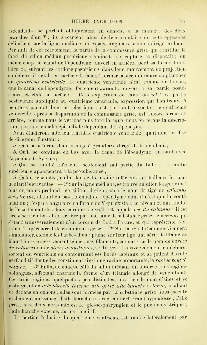 ascendants, se portent obliquement en dehors, à la manière des deux branches d'un V ; ils s'écartent ainsi de leur similaire du coté opposé el délimitent sur la ligne médiane un espace angulaire à sinus dirigé en haut. Par suite de cet écartement, la partie de la commissure grise qui constitue le fond du sillon médian postérieur s'amincit, se rupture et disparaît; du même coup, le canal de l'épendyme, ouvert en arrière, perd sa forme tabu- laire et, suivant les cordons postérieurs dans leur mouvement de projection en dehors, il s'étale en surface de façon à former la face inférieure ou plancher du quatrième ventricule. Le quatrième ventricule n'est, comme on le voit, que le canal de l'épendyme, fortement agrandi, ouvert à sa partie posté- rieure et étalé en surface. — Cette expression de canal ouvert à sa partie postérieure appliquée au quatrième ventricule, expression que l'on trouve à peu près partout dans les classiques, est pourtant inexacte : le quatrième ventricule, après la disparition de la commissure grise, est encore fermé en arrière, comme nous le verrons plus tard lorsque nous en ferons la descrip- tion, par une couche épithéliale dépendant de l'épendyme. Nous étudierons ultérieurement le quatrième ventricule ; qu'il nous suffise de dire pour l'instant : a. Qu'il a la forme d'un losange à grand axe dirigé de bas en haut; b. Qu'il se continue en bas avec le canal de l'e'pendyme, en haut avec l'aqueduc de Sylvius ; c. Que sa moitié inférieure seulement fait partie du bulbe, sa moitié supérieure appartenant à la protubérance ; d. Qu'on rencontre, enfin, dans cette moitié inférieure ou bulbaire les par- ticularités suivantes. — 1° Sur la ligne médiane, se trouve un sillon longitudinal plus ou moins profond ; ce sillon, désigné sous le nom de tige du calamus scriptorius, aboutit en bas au canal de l'épendyme dont il n'est que la conti- nuation ; l'espace angulaire en forme de V qui existe à ce niveau et qui résulte de l'écartement des deux cordons de Goll est appelé bec du calamus; il est circonscrit en bas et en arrière par une lame de substance grise, le verrou, qui s'étend transversalement d'un cordon de Goll à l'autre, et qui représente l'ex- trémité supérieure delà commissure grise.—2° Sur la tige du calamus viennent s'implanter, comme les barbes d'une plume sur leur tige,une série de filaments blanchâtres excessivement ténus ; ces filaments, connus sous le nom de barbes du calamus ou de stries acoustiques, se dirigent transversalement en dehors, sortent du ventricule en contournant ses bords latéraux et se jettent dans le nerf auditif dont elles constituent ainsi une racine importante, la racine ventri- culaire. — 3° Enfin, de chaque côté du sillon médian, on observe trois régions oblongues, affectant chacune la forme d'un triangle allongé de bas en haut. Ces trois régions, quelquefois peu distinctes, ont reçu le nom d'ailes et se distinguent en aile blanche interne, aile grise, aile blanche externe, en allant de dedans en dehors ; elles sont formées par la substance grise sous-jacente et donnent naissance : l'aile blanche interne, au nerf grand hypoglosse ; l'aile grise, aux deux nerfs mixtes, le glosso-pharyngien et le pneumogastrique ; l'aile blanche externe, au nerf auditif. La portion bulbaire du quatrième ventricule est limitée latéralement par