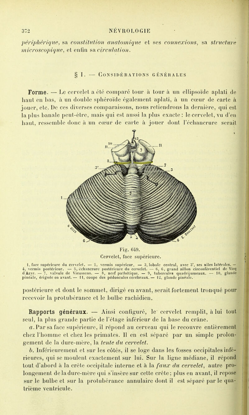 périphérique, sa constitution anatomique et ses connexions, sa structure microscopique, et enfin sa circulation. § I. — Considérations générales Forme. — Le cervelet a été comparé tour à tour à un ellipsoïde aplati de haut en bas, à un double sphéroïde également aplati, à un cœur de carte à jouer, etc. De ces diverses comparaisons, nous retiendrons la dernière, qui est la plus banale peut-être, mais qui est aussi la plus exacte : le cervelet, vu d'en haut, ressemble donc à un cœur de carte à jouer dont l'échancrure serait Fig. 649. Cepvelet, face supérieure. 1, face supérieure du cervelet. — 2, vermis supérieur. — 3, lobule central, avec 3', ses ailes latérales. — 4, verniis postérieur. — 5, échancrure postérieure du cervelet. — 6, 6, grand sillon circonférentiel de Vicq d'Azyr. — 7, valvule de Vieussens. — 8, nerf pathétique. — 9, tubercules quadrijumeaux. — 10, glande pinéale, érignée en avant.— 11, coupe des pédoncules cérébraux.— 12, glande pinéale. postérieure et dont le sommet, dirigé en avant, serait fortement tronqué pour recevoir la protubérance et le bulbe rachidien. Rapports généraux. — Ainsi configuré, le cervelet remplit, à lui tout seul, la plus grande partie de l'étage inférieur de la base du crâne. a. Par sa face supérieure, il répond au cerveau qui le recouvre entièrement chez l'homme et chez les primates. Il en est séparé par un simple prolon- gement de la dure-mère, la tente du cervelet. b. Inférieurement et sur les côtés, il se loge dans les fosses occipitales infé- rieures, qui se moulent exactement sur lui. Sur la ligne médiane, il répond tout d'abord à la crête occipitale interne et à la faux du cervelet, autre pro- longement de la dure-mère qui s'insère sur cette crête; plus en avant, il repose sur le bulbe et sur la protubérance annulaire dont il est séparé par le qua- trième ventricule.