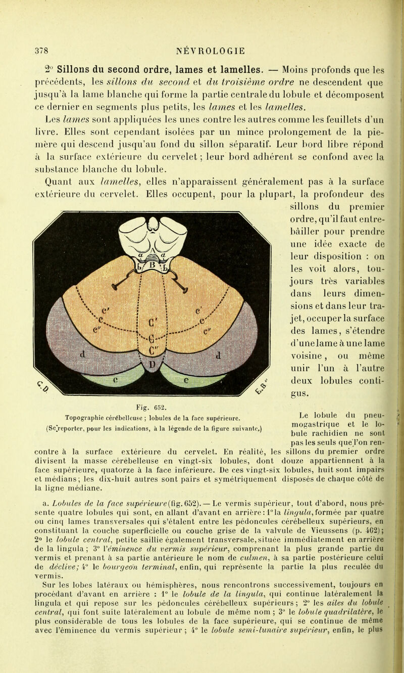 2° Sillons du second ordre, lames et lamelles. — Moins profonds que les précédents, les sillons du second et du troisième ordre ne descendent que jusqu'à la lame blanche qui forme la partie centrale du lobule et décomposent ce dernier en segments plus petits, les lames et les lamelles. Les lames sont appliquées les unes contre les autres comme les feuillets d'un livre. Elles sont cependant isolées par un mince prolongement de la pie- mère qui descend jusqu'au fond du sillon séparatif. Leur bord libre répond à la surface extérieure du cervelet ; leur bord adhérent se confond avec la substance blanche du lobule. Quant aux lamelles, elles n'apparaissent généralement pas à la surface extérieure du cervelet. Elles occupent, pour la plupart, la profondeur des sillons du premier ordre, qu'il faut entre- bâiller pour prendre une idée exacte de leur disposition : on les voit alors, tou- jours très variables dans leurs dimen- sions et dans leur tra- jet, occuper la surface des lames, s'étendre d'unelame aune lame voisine, ou même unir l'un à l'autre deux lobules conti- gus. Le lobule du pneu- mogastrique et le lo- bule rachidien ne sont pas les seuls queTon ren- contre à la surface extérieure du cervelet. En réalité, les sillons du premier ordre divisent la masse cérébelleuse en vingt-six lobules, dont douze appartiennent à la face supérieure, quatorze à la face inférieure. De ces vingt-six lobules, nuit sont impairs et médians; les dix-huit autres sont pairs et symétriquement disposés de chaque côté de la ligne médiane. a. Lobules de la face supérieure(fig. 652). — Le vermis supérieur, tout d'abord, nous pré- sente quatre lobules qui sont, en allant d'avant en arrière : 1° la lingula, formée par quatre ou cinq lames transversales qui s'étalent entre les pédoncules cérébelleux supérieurs, en constituant la couche superficielle ou couche grise de la valvule de Vieussens (p. 402); 2° le lobule central, petite saillie également transversale, située immédiatement en arrière de la lingula ; 3° Véminence du vermis supérieur, comprenant la plus grande partie du vermis et prenant à sa partie antérieure le nom de culmen, à sa partie postérieure celui de déclive; 4° le bourgeon terminal, enfin, qui représente la partie la plus reculée du vermis. Sur les lobes latéraux ou hémisphères, nous rencontrons successivement, toujours en procédant d'avant en arrière : 1° le lobule de la lingula, qui continue latéralement la lingula et qui repose sur les pédoncules cérébelleux supérieurs ; 2° les ailes du lobule central, qui font suite latéralement au lobule de même nom ; 3° le lobule quadrilatère, le plus considérable de tous les lobules de la face supérieure, qui se continue de même avec l'éminence du vermis supérieur; 4° le lobule semi-lunaire supérieur, enfin, le plus Fig. 652. Topographie cérébelleuse ; lobules de la face supérieure. (Se[reporter, pour les indications, à la légende de la figure suivante.)