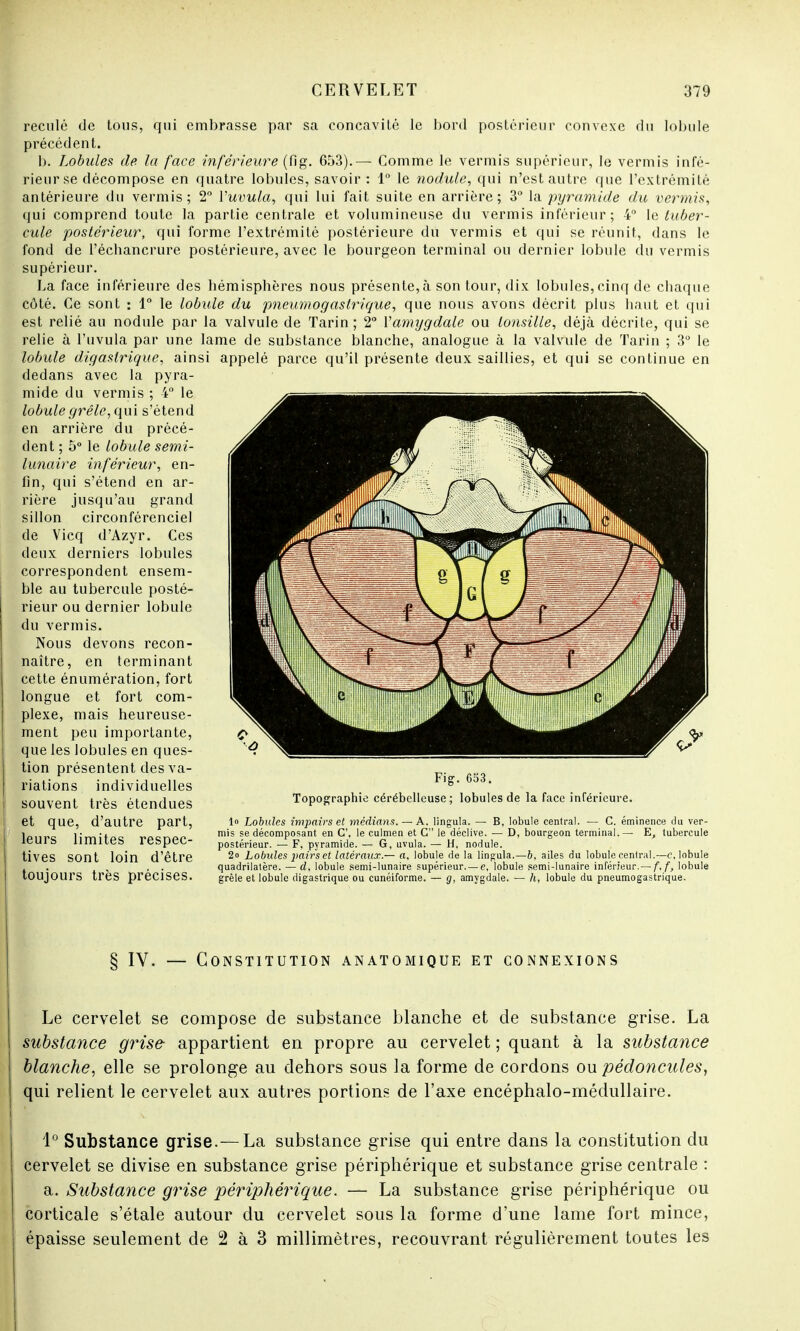 reculé de tous, qui embrasse par sa concavilé le bord postérieur convexe du lobule précédent. b. Lobules de la face inférieure (fig. 653).— Comme le vermis supérieur, le vermis infé- rieur se décompose en quatre lobules, savoir : 1° le nodule, qui n'est autre que l'extrémité antérieure du vermis; 2° Yuvula, qui lui fait suite en arrière; 3° la pyramide du vermis, qui comprend toute la partie centrale et volumineuse du vermis inférieur; 4° le tuber- cule postérieur, qui forme l'extrémité postérieure du vermis et qui se réunit, dans le fond de l'échancrure postérieure, avec le bourgeon terminal ou dernier lobule du vermis supérieur. La face inférieure des hémisphères nous présente,à son tour, dix lobules, cinq de chaque côté. Ce sont : 1° le lobule du pneumogastrique, que nous avons décrit plus haut et qui est relié au nodule par la valvule de Tarin ; 2° Y amygdale ou lonsille, déjà décrite, qui se relie à l'uvula par une lame de substance blanche, analogue à la valvule de Tarin ; 3° le lobule digaslrique, ainsi appelé parce qu'il présente deux saillies, et qui se continue en dedans avec la pyra- mide du vermis ; 4° le lobule grêle, qui s'étend en arrière du précé- dent ; 5° le lobule semi- lunaire inférieur, en- fin, qui s'étend en ar- rière jusqu'au grand sillon circonférenciel de Vicq d'Azyr. Ces deux derniers lobules correspondent ensem- ble au tubercule posté- rieur ou dernier lobule du vermis. Nous devons recon- naître, en terminant cette énumération, fort longue et fort com- plexe, mais heureuse- ment peu importante, que les lobules en ques- tion présentent des va- riations individuelles souvent très étendues et que, d'autre part, leurs limites respec- tives sont loin d'être toujours très précises. Fig. 653. Topographie cérébelleuse; lobules de la face inférieure. lo Lobules impairs et médians. — A. lingula. — B, lobule central. — C. éminence du ver- mis se décomposant en C, le culmen et C le déclive. — D, bourgeon terminal.— E, tubercule postérieur. — F, pyramide. — G, uvula. — H, nodule. 2o Lobules pairs et latéraux.— a, lobule de la lingula.—b, ailes du lobule central.—c, lobule quadrilatère. — d, lobule semi-lunaire supérieur. — e, lobule semi-lunaire inférieur.— /'./', lobule grêle et lobule digastrique ou cunéiforme. — g, amygdale. — h, lobule du pneumogastrique. § IV. — Constitution anatomique et connexions Le cervelet se compose de substance blanche et de substance grise. La substance grise- appartient en propre au cervelet ; quant à la substance blanche, elle se prolonge au dehors sous la forme de cordons ou pédoncules, qui relient le cervelet aux autres portions de l'axe encéphalo-médullaire. 1° Substance grise.— La substance grise qui entre dans la constitution du cervelet se divise en substance grise périphérique et substance grise centrale : a. Substance grise périphérique. — La substance grise périphérique ou corticale s'étale autour du cervelet sous la forme d'une lame fort mince, épaisse seulement de 2 à 3 millimètres, recouvrant régulièrement toutes les