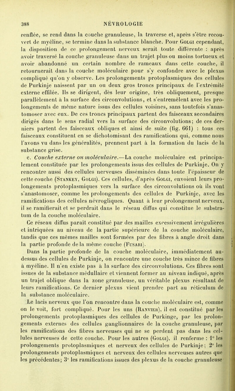 renflée, se rend dans la couche granuleuse, la traverse et, après s'être recou- vert de myéline, se termine dans la substance blanche. Pour Golgi cependant, la disposition de ce prolongement nerveux serait toute différente : après avoir traversé la couche granuleuse dans un trajet plus ou moins tortueux et avoir abandonné un certain nombre de rameaux dans cette couche, il retournerait dans la couche moléculaire pour s'y confondre avec le plexus compliqué qu'on y observe. Les prolongements protoplasmiques des cellules de Purkinje naissent par un ou deux gros troncs principaux de l'extrémité externe effilée. Ils se dirigent, dès leur origine, très obliquement, presque parallèlement à la surface des circonvolutions, et s'entremêlent avec les pro- longements de même nature issus des cellules voisines, sans toutefois s'anas- tomoser avec eux. De ces troncs principaux partent des faisceaux secondaires dirigés dans le sens radial vers la surface des circonvolutions ; de ces der- niers partent des faisceaux obliques et ainsi de suite (fig. 661) : tous ces faisceaux constituent en se dichotomisant des ramifications qui, comme nous l'avons vu dans les généralités, prennent part à la formation du lacis de la substance grise. c. Couche externe ou moléculaire.—La couche moléculaire est principa- lement constituée par les prolongements issus des cellules de Purkinje. On y rencontre aussi des cellules nerveuses disséminées dans toute l'épaisseur de cette couche (Stankey, Golgi). Ces cellules, d'après Golgi, envoient leurs pro- longements protoplasmiques vers la surface des circonvolutions où ils vont s'anastomoser, comme les prolongements des cellules de Purkinje, avec les ramifications des cellules névrogliques. Quant à leur prolongement nerveux, il se ramifierait et se perdrait dans le réseau diffus qui constitue le substra- tum de la couche moléculaire. Ce réseau diffus paraît constitué par des mailles excessivement irrégulières et intriquées au niveau de la partie supérieure de la couche moléculaire, tandis que ces mêmes mailles sont formées par des fibres à angle droit dans la partie profonde delà même couche (Fusari). Dans la partie profonde de la couche moléculaire, immédiatement au- dessus des cellules de Purkinje, on rencontre une couche très mince de fibres à myéline. Il n'en existe pas à la surface des circonvolutions. Ces fibres sont issues de la substance médullaire et viennent former au niveau indiqué, après un trajet oblique dans la zone granuleuse, un véritable plexus résultant de leurs ramifications. Ce dernier plexus vient prendre part au réticulum de la substance moléculaire. Le lacis nerveux que l'on rencontre dans la couche moléculaire est, comme on le voit, fort compliqué. Pour les uns (Ranvier), il est constitué par les prolongements protoplasmiques des cellules de Purkinge, par les prolon- gements externes des cellules ganglionnaires de la couche granuleuse, par les ramifications des fibres nerveuses qui ne se perdent pas dans les cel- lules nerveuses de cette couche. Pour les autres (Golgi), il renferme : 1° les prolongements protoplasmiques et nerveux des cellules de Purkinje; 2° les prolongements protoplasmiques et nerveux des cellules nerveuses autres que les précédentes; 3° les ramifications issues des plexus de la couche granuleuse