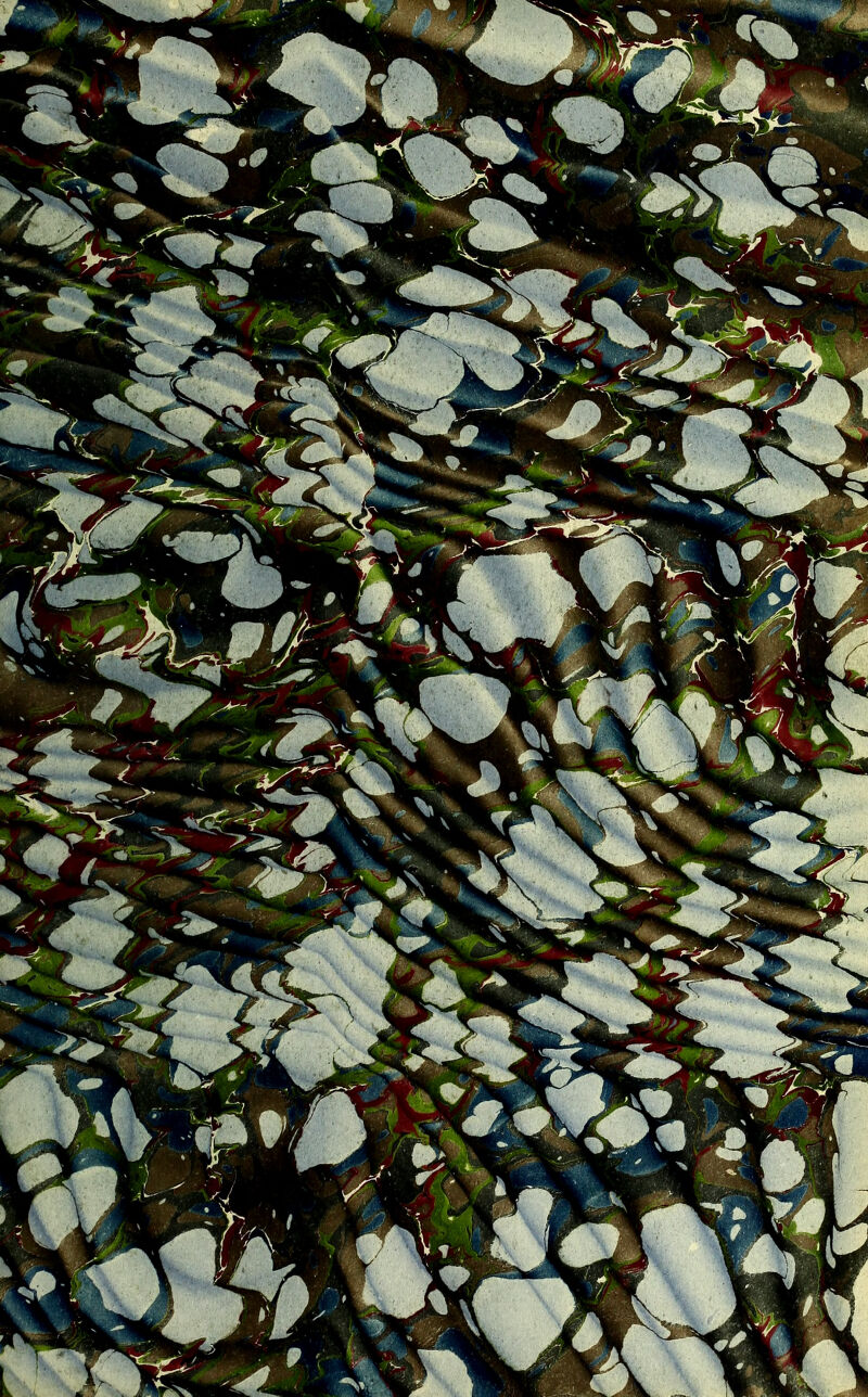 No text description is available for this image