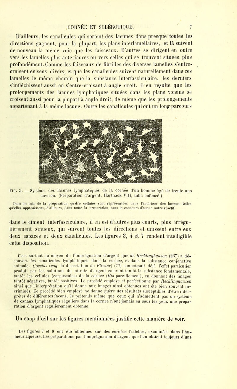 D'ailleurs, les canalicules qui sortent des lacunes dans presque toutes les directions gagnent, pour la plupart, les plans interlamellaires, et là suivent de nouveau la même voie que les faisceaux. D'autres se dirigent en outre vers les lamelles plus antérieures ou vers celles qui se trouvent situées plus profondément. Comme les faisceaux de fibrilles des diverses lamelles s'entre- croisent en sens divers, et que les canalicules suivent naturellement dans ces lamelles le même chemin que la substance interfasciculaire, les derniers s'infléchissent aussi en s'entre-croisant à angle droit. Il en résulte que les prolongements des lacunes lymphatiques situées dans les plans voisins se croisent aussi pour la plupart à angle droit, de même que les prolongements appartenant à la même lacune. Outre les canalicules qui ont un long parcours FtG. 3. — Système des lacunes lymphatiques de la cornée d'un homme âgé de trente ans environ. (Préparation d'argent, Hartnack VIII, tube enfoncé.) Dans un coin de la préparation, quatre cellules sont représentées dans l'intérieur des lacunes telles qu'elles apparaissent, d'ailleurs, dans toute la préparation, sans le concours d'aucun autre réactif. dans le ciment interfasciculaire, il en est d'autres plus courts, plus irrégu- lièrement sinueux, qui suivent toutes les directions et unissent entre eux deux espaces et deux canalicules. Les figures 3, 4 et 7 rendent intelligible cette disposition. C'est surtout au moyen de l'imprégnation d'argent que de Recklinghansen (237) a dé- couvert les canalicules lymphatiques dans la cornée, et dans la substance conjonctive animale. Coccius (voy. la dissertation de Flinzer) (77) connaissait déjà l'effet particulier produit par les solutions du nitrate d'argent colorant tantôt la substance fondamentale, tantôt les cellules (corpuscules) de la cornée (His pareillement), en donnant des images tantôt négatives, tantôt positives. Le procédé employé et perfectionné par Recklinghaiiscn ainsi que l'interprétation qu'il donne aux images ainsi obtenues ont été bien souvent in- criminés. Ce procédé bien employé ne donne guère des résultats susceptibles d'être inter- prétés de différentes façons. Je prétends même que ceux qui n'admettent pas un système de canaux lymphatiques réguliers dans la cornée n'ont jamais eu sous les yeux une prépa- ration d'argent régulièrement obtenue. Un coup d'œil sur les figures mentionnées justifie cette manière de voir. Les figures 7 et 8 ont été obtenues sur des cornées fraîches, examinées dans l'hu- meur aqueuse. Les préparations par l'imprégnation d'argent que l'on obtient toujours d'une