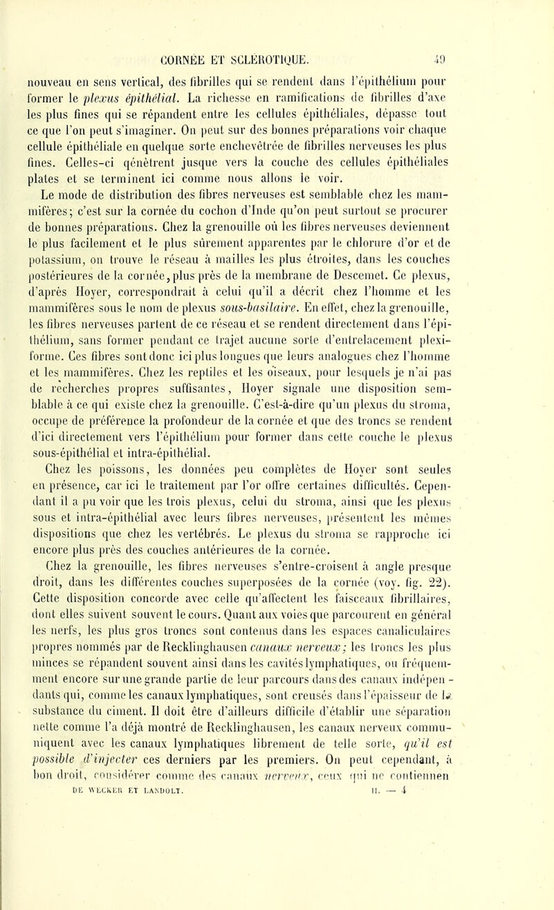 nouveau en sens vertical, des fibrilles qui se rendent dans Pépithélium pour former le plexus épithélial. La richesse en ramifications de fibrilles d'axe les plus fines qui se répandent entre les cellules épithéliales, dépasse tout ce que l'on peut s'imaginer. Ou peut sur des bonnes préparations voir chaque cellule épithéliale en quelque sorte enchevêtrée de fibrilles nerveuses les plus fines. Celles-ci qénètrent jusque vers la couche des cellules épithéliales plates et se terminent ici comme nous allons le voir. Le mode de distribution des fibres nerveuses est semblable chez les mam- mifères; c'est sur la cornée du cochon d'Inde qu'on peut surtout se procurer de bonnes préparations. Chez la grenouille où les fibres nerveuses deviennent le plus facilement et le plus sûrement apparentes par le chlorure d'or et de potassium, on trouve le réseau à mailles les plus étroites, dans les couches postérieures de la cornée,plus près de la membrane de Descemet. Ce plexus, d'après Hoyer, correspondrait à celui qu'il a décrit chez l'homme et les mammifères sous le nom de plexus sous-basilaire. En effet , chez la grenouille, les fibres nerveuses partent de ce réseau et se rendent directement dans l'épi- thélium, sans former pendant ce trajet aucune sorte d'entrelacement plexi- forme. Ces fibres sont donc ici plus longues que leurs analogues chez l'homme et les mammifères. Chez les reptiles et les oiseaux, pour lesquels je n'ai pas de recherches propres suffisantes, Hoyer signale une disposition sem- blable à ce qui existe chez la grenouille. C'est-à-dire qu'un plexus du stroma, occupe de préférence la profondeur de la cornée et que des troncs se rendent d'ici directement vers l'épithélium pour former dans cette couche le plexus sous-épithélial et intra-épithélial. Chez les poissons, les données peu complètes de Hoyer sont seules en présence, car ici le traitement par l'or offre certaines difficultés. Cepen- dant il a pu voir que les trois plexus, celui du stroma, ainsi que les plexus sous et intra-épithélial avec leurs fibres nerveuses, présentent les mêmes dispositions que chez les vertébrés. Le plexus du stroma se rapproche ici encore plus près des couches antérieures de la cornée. Chez la grenouille, les fibres nerveuses s'entre-croisent à angle presque droit, dans les différentes couches superposées de la cornée (voy. fig. 22). Cette disposition concorde avec celle qu'affectent les faisceaux fibrillaires, dont elles suivent souvent le cours. Quant aux voies que parcourent en général les nerfs, les plus gros troncs sont contenus dans les espaces canaliculaires propres nommés par de Recklinghausen canaux nerveux; les troncs les plus minces se répandent souvent ainsi dans les cavités lymphatiques, ou fréquem- ment encore sur une grande partie de leur parcours dans des canaux indépen- dants qui, comme les canaux lymphatiques, sont creusés clans l'épaisseur de 1*: substance du ciment. Il doit être d'ailleurs difficile d'établir une séparation nette comme l'a déjà montré de Recklinghausen, les canaux nerveux commu- niquent avec les canaux lymphatiques librement de telle sorte, qu'il est possible d'injecter ces derniers par les premiers. On peut cependant, à bon droit, considérer comme des canaux nerveux, ceux qui ur contiennen DE WECKEH El' I.ANUOLT. 11. — i