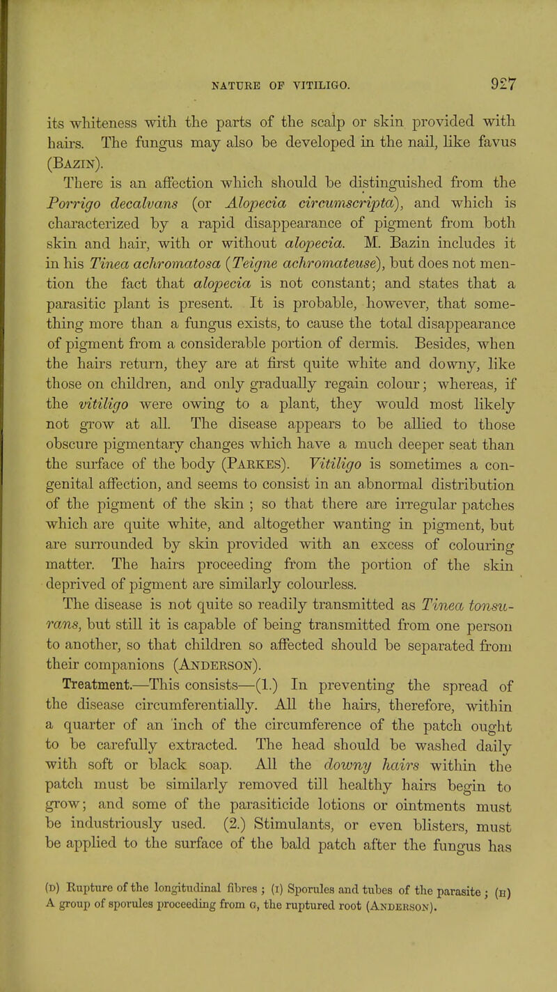 its whiteness with the parts of the scalp or skin provided with haii's. The fungus may also be developed in the nail, like favus (Bazin). There is an affection which should be distinguished from the Porrigo decalvans (or Alopecia circumscripta), and which is characterized by a rapid disappearance of pigment from both skin and hair, with or without alopecia. M. Bazin includes it in his Tinea achromatosa (Teigne achromateuse), but does not men- tion the fact that alopecia is not constant; and states that a parasitic plant is present. It is probable, however, that some- thing more than a fangus exists, to cause the total disappearance of pigment from a considerable portion of dermis. Besides, when the hairs return, they are at first quite white and downy, like those on children, and only gradually regain colour; whereas, if the vitiligo were owing to a plant, they would most likely not grow at all. The disease appears to be allied to those obscure pigmentary changes which have a much deeper seat than the surface of the body (Parkes). Vitiligo is sometimes a con- genital affection, and seems to consist in an abnormal distribution of the pigment of the skin ; so that there are iiTegular patches which are quite white, and altogether wanting in pigment, but are surrounded by skin provided with an excess of colouring matter. The hairs proceeding from the portion of the skin deprived of pigment are similarly colourless. The disease is not quite so readily transmitted as Tinea tonsu- rans, but still it is capable of being transmitted from one person to another, so that children so affected should be separated from their companions (Anderson). Treatment.—This consists—(1.) In preventing the spread of the disease circumferentially. All the hairs, therefore, within a quarter of an inch of the circumference of the patch ought to be carefully extracted. The head should be washed daily with soft or black soap. All the downy hairs within the patch must be similarly removed till healthy hairs begin to grow; and some of the parasiticide lotions or ointments must be industriously used. (2.) Stimulants, or even blisters, must be applied to the surface of the bald patch after the fungus has (d) Rupture of the longitudinal fibres ; (i) Sponiles and tubes of the parasite ; (b) A group of sporules proceeding from o, the ruptured root (Anderson).