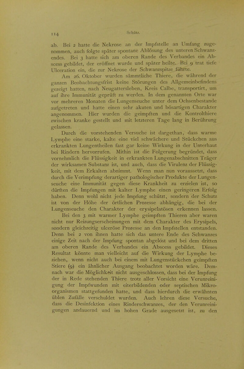 :ib. Bei 2 hatte die Nekrose an der Impfstelle an Umfang zuge- nommen, auch folgte sp.äter spontane Ablösung des unteren Schwanz- endes. Bei 3 hatte sich am oberen Rande des Verbandes ein AIj- scess gebildet, der eröffnet wurde und später heilte. Bei 9 trat tiefe Ulceration ein, die zur Nekrose der Schwanzspitze führte. Am 26. Oktober wurden sämmtliche Thiere, die während der ganzen Beobachtungsfrist keine Störungen des Allgemeinl)efindens gezeigt hatten, nach Neugattersleben, Kreis Calbe, transportirt, um auf ihre Immunität geprüft zu werden. In dem genannten Orte war vor mehreren Monaten die Lungenseuche unter dem Ochsenbestande aufgetreten und hatte einen sehr akuten und bösartigen Charakter angenommen. Hier wurden die geimpften und die Kontrolthiere zwischen kranke gestellt und mit letzteren Tage lang in Berührung gelassen. Durch die vorstehenden Versuche ist dargethan, dass warme Lymphe eine starke, kalte eine viel schwächere und Stückchen aus erkrankten Lungentheilen fast gar keine Wirkung in der Unterhaut bei Rindern hervorrufen. Mithin ist die Folgerung begründet, dass vornehmlich die Flüssigkeit in erkrankten Lungenabschnitten Träger der wirksamen Substanz ist, und auch, dass die Virulenz der Flüssig- keit, mit dem Erkalten abnimmt. Wenn man nun voraussetzt, dass durch die Verimpfung derartiger pathologischer Produkte der Lungen- seuche eine Immunität gegen diese Krankheit zu erzielen ist, so dürften die Impfungen mit kalter Lymphe einen geringeren Erfolg haben. Denn wohl nicht jede Impfung schützt, sondern der Schutz ist von der Höhe der örtlichen Prozesse abhängig, die bei der Lungenseuche den Charakter der erysipelatösen erkennen lassen. Bei den 3 mit warmer Lymphe geimpften Thieren aber w^aren nicht nur Reizungserscheinungen mit dem Charakter des Erysipels, sondern gleichzeitig ulceröse Prozesse an den Impfstellen entstanden. Denn bei 2 von ihnen hatte sich das untere Ende des Schwanzes einige Zeit nach der Impfung spontan abgelöst und bei dem dritten am oberen Rande des Verbandes ein Abscess gebildet. Dieses Resultat könnte man vielleicht auf die Wirkung der Lymphe be- ziehen, wenn nicht auch bei einem mit Lungenstückchen geimpften Stiere (9) ein ähnlicher Ausgang beobachtet worden wäre. Dem- nach war die Möglichkeit nicht ausgeschlossen, dass bei der Impfung der in Rede stehenden Thiere trotz aller Vorsicht eine Verunreini- gung der Impfwunden mit eiterbildenden oder septischen Mikro- organismen stattgefunden hatte, und dass hierdurch die erwähnten üblen Zufälle verschuldet wurden. Auch lehren diese Versuche, dass die Desinfektion eines Rinderschwanzes, der den Verunreini- gungen andauernd und im hohen Grade ausgesetzt ist, zu den