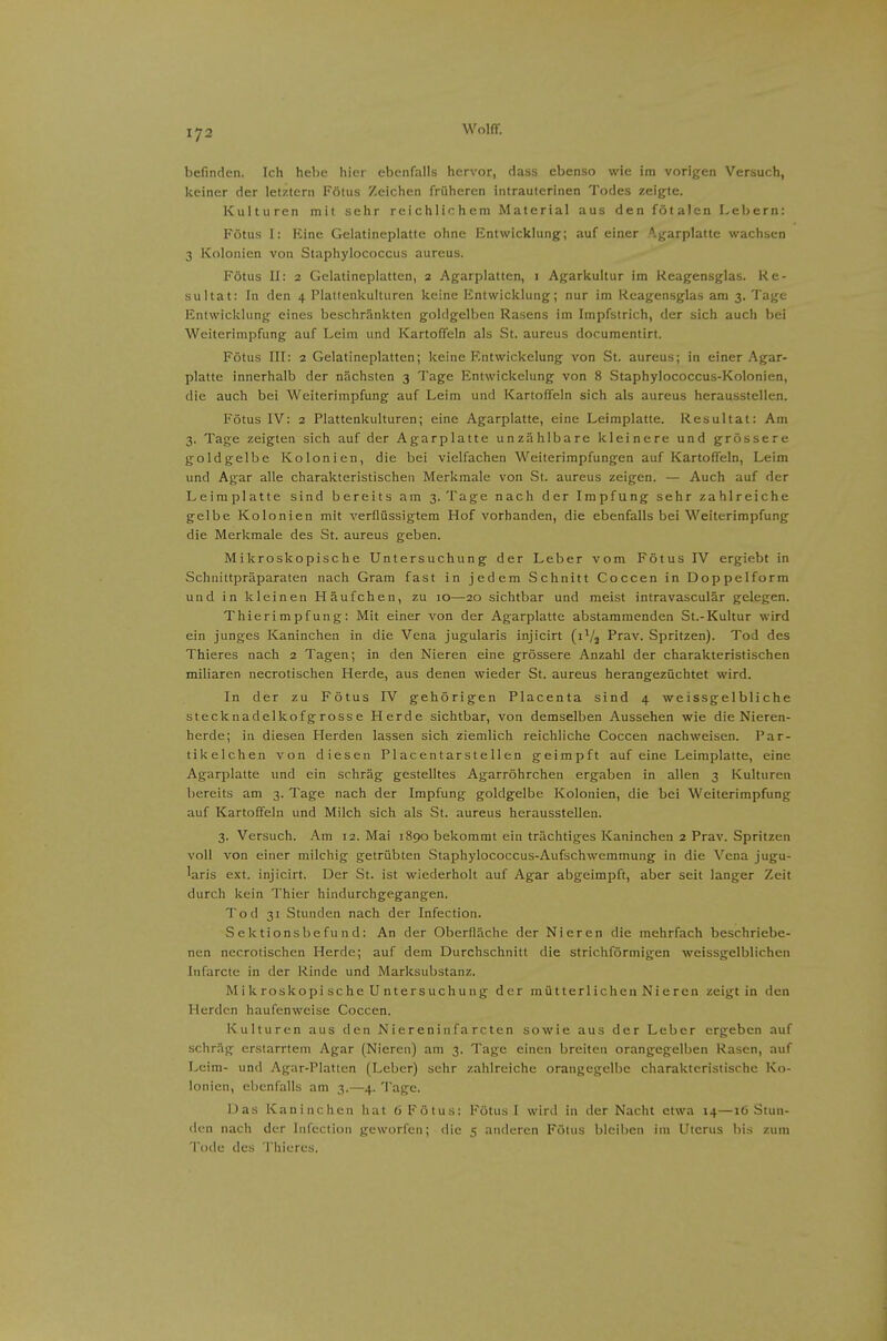 befinden. Ich hebe hier ebenfalls hervor, dass ebenso wie im vorigen Versuch, keiner der letztern Fötus Zeichen früheren intrauterinen Todes zeigte. Kulturen mit sehr reichlichem Material aus den fötalen Lebern: Fötus I: Eine Gelatineplatte ohne Entwicklung; auf einer .garplatte wachsen 3 Kolonien von Staphylococcus aureus. Fötus II: 2 Gelatineplatten, 2 Agarplatten, 1 Agarkultur im Keagensglas. Re- sultat: In den 4 Platienkulturen keine Entwicklung; nur im Reagensglas am 3. Tage Entwicklung eines beschränkten goldgelben Rasens im Impfstrich, der sich auch bei Weiterimpfung auf Leim und Kartoffeln als St. aureus documentirt. Fötus III: 2 Gelatineplatten; keine Entwickelung von St. aureus; in einer Agar- platte innerhalb der nächsten 3 Tage Entwickelung von 8 Staphylococcus-Kolonien, die auch bei Weiterimpfung auf Leim und Kartoffeln sich als aureus herausstellen. B-ötus IV: 2 Plattenkulturen; eine Agarplatte, eine Leimplatte. Resultat: Am 3. Tage zeigten sich auf der Agarplatte unzählbare kleinere und grössere goldgelbe Kolonien, die bei vielfachen Weiterimpfungen auf Kartoffeln, Leim und Agar alle charakteristischen Merkmale von St. aureus zeigen. — Auch auf der Leimplatte sind bereits am 3. Tage nach der Impfung sehr zahlreiche gelbe Kolonien mit verflüssigtem Hof vorhanden, die ebenfalls bei Weiterimpfung die Merkmale des St. aureus geben. Mikroskopische Untersuchung der Leber vom Fötus IV ergiebt in Schnittpräparaten nach Gram fast in jedem Schnitt Coccen in Doppelform und in kleinen Häufchen, zu 10—20 sichtbar und meist intravasculär gelegen. Thierimpfung: Mit einer von der Agarplatte abstammenden St.-Kultur wird ein junges Kaninchen in die Vena jugularis injicirt (i^/j Prav. Spritzen). Tod des Thieres nach 2 Tagen; in den Nieren eine grössere Anzahl der charakteristischen miliaren necrotischen Herde, aus denen wieder St. aureus herangezüchtet wird. In der zu Fötus IV gehörigen Placenta sind 4 weissgeIbliche stecknadelkofgrosse Herde sichtbar, von demselben Aussehen wie die Nieren- herde; in diesen Herden lassen sich ziemlich reichliche Coccen nachweisen. Par- tikelchen von diesen Placentarstellen geimpft auf eine Leimplatte, eine Agarplatte und ein schräg gestelltes Agarröhrchen ergaben in allen 3 Kulturen bereits am 3. Tage nach der Impfung goldgelbe Kolonien, die bei Weiterimpfung auf Kartoffeln und Milch sich als St. aureus herausstellen. 3. Versuch. Am 12. Mai 1890 bekommt ein trächtiges Kaninchen 2 Prav. Spritzen voll von einer milchig getrübten Staphylococcus-Aufschwemmung in die Vena jugu- 'aris ext. injicirt. Der St. ist wiederholt auf Agar abgeimpft, aber seit langer Zeit durch kein Thier hindurchgegangen. Tod 31 Stunden nach der Infection. Sektionsbefund: An der Oberfläche der Nieren die mehrfach beschriebe- nen necrotischen Herde; auf dem Durchschnitt die strichförmigen weissgelblichen Infarcte in der Rinde und Marksubstanz. Mikroskopische Untersuchung der mütterlichen Nieren zeigt in den Herden haufenweise Coccen. Kulturen aus den Niereninfa rcten sowie aus der Leber ergeben auf schräg erstarrtem Agar (Nieren) am 3. Tage einen breiten orangegelben Rasen, auf Leim- und Agar-Platten (Leber) sehr zahlreiche orangegelbe charakteristische Ko- lonien, ebenfalls am 3.—4. Tage. Das Kaninchen hat 6 Fötus: Fötus I wird in der Nacht etwa 14—16 Stun- den nach der Infection geworfen; die 5 anderen Föius bleiben im Uterus bis zum Tode des Thieres.