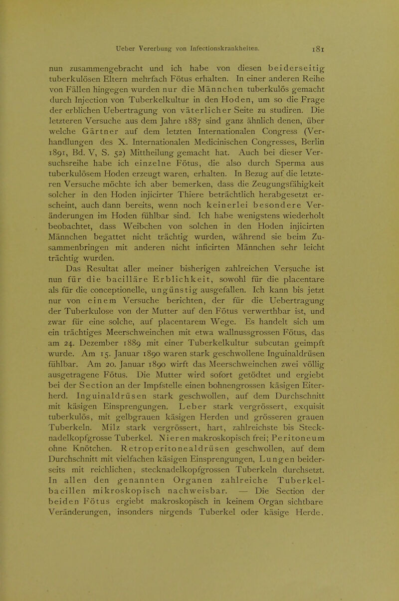 nun zusammengebracht und ich habe von diesen beiderseitig tuberkulösen Eltern mehrfach Fötus erhalten. In einer anderen Reihe von Fällen hingegen wurden nur die Männchen tuberkulös gemacht durch Injection von Tuberkelkultur in den Hoden, um so die Frage der erblichen Uebertragung von väterlicher Seite zu studiren. Die letzteren Versuche aus dem Jahre 1887 sind ganz ähnlich denen, über welche Gärtner auf dem letzten Internationalen Congress (Ver- handlungen des X. Internationalen Medicinischen Congresses, Berlin 1891, Bd. V, S. 52) Mittheilung gemacht hat. Auch bei dieser Ver- suchsreihe habe ich einzelne Fötus, die also durch Sperma aus tuberkulösem Hoden erzeugt waren, erhalten. In Bezug auf die letzte- ren Versuche möchte ich aber bemerken, dass die Zeugungsfähigkeit solcher in den Hoden injicirter Thiere beträchtlich herabgesetzt er- scheint, auch dann bereits, wenn noch keinerlei besondere Ver- änderungen im Hoden fühlbar sind. Ich habe wenigstens wiederholt beobachtet, dass Weibchen von solchen in den Hoden injicirten Männchen begattet nicht trächtig wurden, während sie beim Zu- sammenbringen mit anderen nicht inficirten Männchen sehr leicht trächtig wurden. Das Resultat aller meiner bisherigen zahlreichen Versuche ist nun für die bacilläre Erblichkeit, sowohl für die placentare als für die conceptionelle, ungünstig ausgefallen. Ich kann bis jetzt nur von einem Versuche berichten, der für die Uebertragung der Tuberkulose von der Mutter auf den Fötus verwerthbar ist, und zwar für eine solche, auf placentarem Wege. Es handelt sich um ein trächtiges Meerschweinchen mit etwa wallnussgrossen Fötus, das am 24. Dezember 1889 mit einer Tuberkelkultur subcutan geimpft wurde. Am 15. Januar 1890 waren stark geschwollene Inguinaldrüsen fühlbar. Am 20. Januar 1890 wirft das Meerschweinchen zwei völlig ausgetragene Fötus. Die Mutter wird sofort getödtet und ergiebt bei der Section an der Impfstelle einen bohnengrossen käsigen Eiter- herd. Inguinaldrüsen stark geschwollen, auf dem Durchschnitt mit käsigen Einsprengungen. Leber stark vergrössert, exquisit tuberkulös, mit gelbgrauen käsigen Herden und grösseren grauen Tuberkeln. Milz stark vergrössert, hart, zahlreichste bis Steck- nadelkopfgrosse Tuberkel. Nieren makroskopisch frei; Peritoneum ohne Knötchen. Retroperitonealdrüsen geschwollen, auf dem Durchschnitt mit vielfachen käsigen Einsprengungen, Lungen beider- seits mit reichlichen, stecknadelkopfgrossen Tuberkeln durchsetzt. In allen den genannten Organen zahlreiche Tuberkel- bacillen mikroskopisch nachweisbar. — Die Section der beiden Fötus ergiebt makroskopisch in keinem Organ sichtbare Veränderungen, insonders nirgends Tuberkel oder käsige Herde.