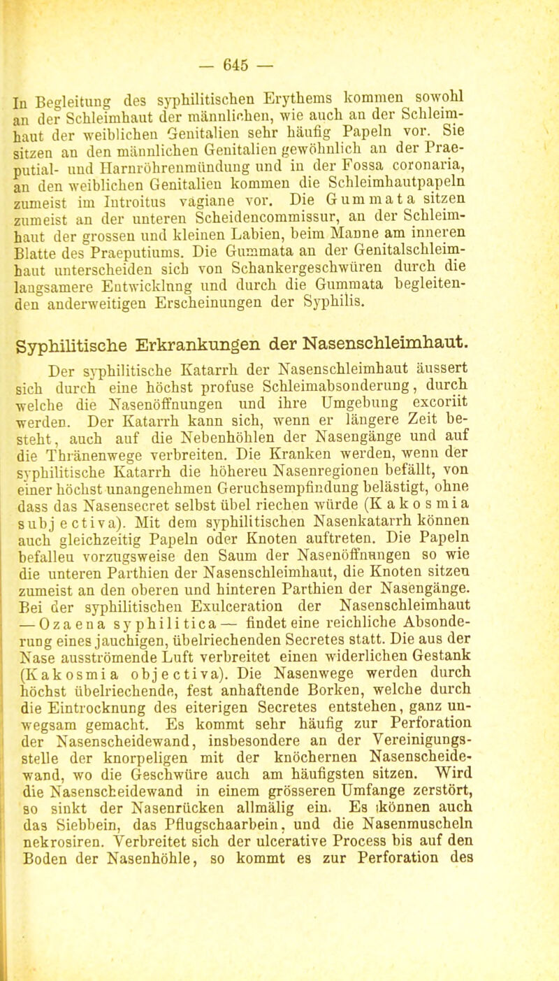 lu Begleitung des syphilitischen Erythems kommen sowohl an der Schleimhaut der männlichen, wie auch an der Schleim- haut der weiblichen Genitalien sehr häufig Papeln vor. Sie sitzen an den mäunlichen Genitalien gewöhnlich an der Pra.e- putial- und Harnröhreumündung und in der Fossa coronaria, an den weiblichen Genitalien kommen die Schleimhautpapeln zumeist im lutroitus vägiane vor. Die Gummata sitzen zumeist an der unteren Scheidencommissur, an der Schleim- haut der grossen und kleinen Labien, beim Manne am inneren Blatte des Praeputiums. Die Gummata an der Genitalschleim- haut unterscheiden sich von Schankergeschwüren durch die laugsamere Entwicklung und durch die Gummata begleiten- den anderweitigen Erscheinungen der Syphilis. SypMlitische Erkrankungen der Nasenschleimhaut. Der sj-philitische Katarrh der Nasenschleimhaut äussert sich durch eine höchst profuse Schleimabsonderung, durch welche die Nasenöffnungen und ihre Umgebung excoriit werden. Der Katarrh kann sich, wenn er längere Zeit be- steht, auch auf die Nebenhöhlen der Nasengänge und auf die Thränenwege verbreiten. Die Kranken werden, wenn der syphilitische Katarrh die höhereu Nasenregionen befällt, von einer höchst unangenehmen Geruchsempfindung belästigt, ohne dass das Nasensecret selbst übel riechen würde (K a k o s m i a subjectiva). Mit dem syphilitischen Nasenkatarrh können auch gleichzeitig Papeln oder Knoten auftreten. Die Papeln befallen vorzugsweise den Saum der Nasenöffnungen so wie die unteren Parthien der Nasenschleimhaut, die Knoten sitzen zumeist an den oberen und hinteren Parthien der Nasengänge. Bei der syphilitischen Exulceration der Nasenschleimhaut — Ozaena syphilitica— findet eine reichliche Absonde- rung eines jauchigen, übelriechenden Secretes statt. Die aus der Nase ausströmende Luft verbreitet einen widerlichen Gestank (Kakosmia obj e ctiva). Die Nasenwege werden durch höchst übeh'iechende, fest anhaftende Borken, welche durch die Eintrocknung des eiterigen Secretes entstehen, ganz un- wegsam gemacht. Es kommt sehr häufig zur Perforation der Nasenscheidewand, insbesondere an der Vereinigungs- stelle der knorpeligen mit der knöchernen Nasenscheide- ■wand, wo die Geschwüre auch am häufigsten sitzen. Wird die Nasenscheidewand in einem grösseren Umfange zerstört, 80 sinkt der Nasenrücken allmälig ein. Es ikönnen auch das Siebbein, das Pflugschaarbein, und die Nasenmuscheln nekrosiren. Verbreitet sich der ulcerative Process bis auf den Boden der Nasenhöhle, so kommt es zur Perforation des