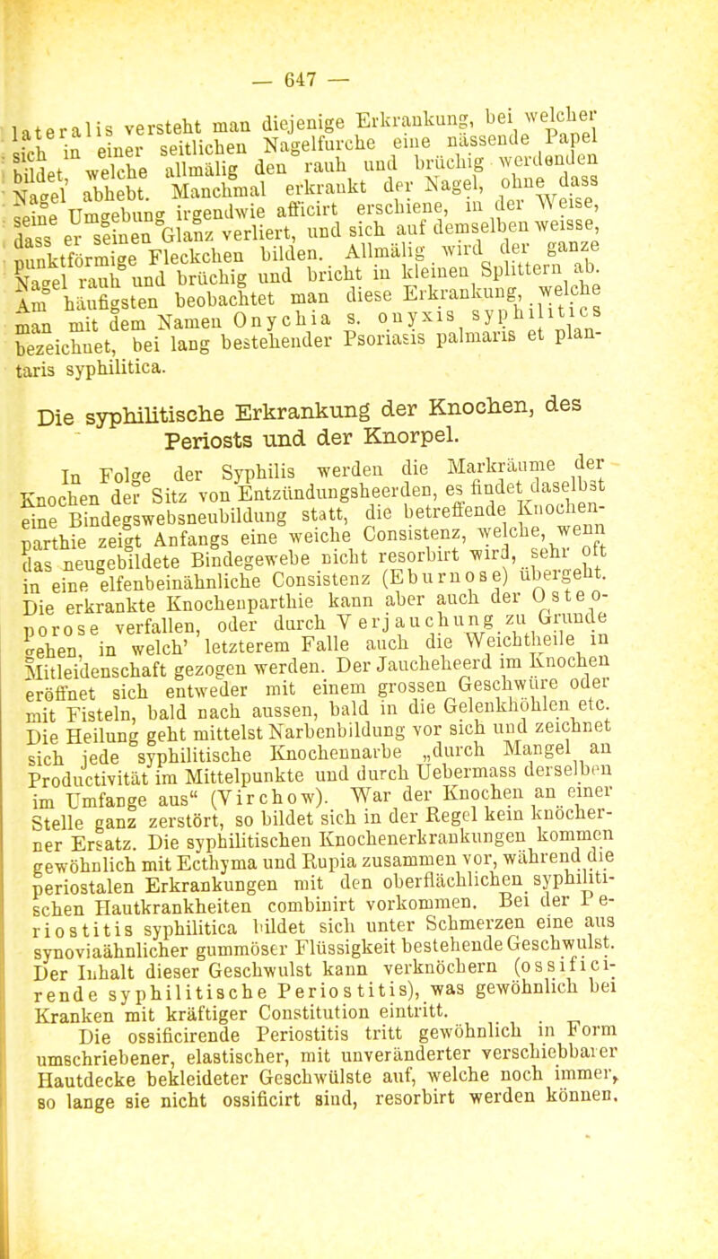 lateralis versteht man diejenige Erkrankung, ^ei welche •I in Piner seitlichen Nagelfurche eine nässende Papel Ät welche aSg den rauh und brüchig werdenden Ä abhebt Manchmal erkrankt der Nagel, ohne dass 2Se ümcTebun.^ irgendwie afficirt erschiene, m der Weise, lass er seLen Glanz verliert, und sich auf demselben weisse StfLmige Fleckchen bilden. Allmälig. wird der ganze brüchig und bricht in kleinen Splittern ab häufigsten beobachtet man diese Erkrankung welche man mit dem Namen Onychia s. onyxis hi itics bezeichnet, bei lang bestehender Psoriasis palmans et plan- taris syphilitica. Die syphilitische Erkrankung der Knochen, des Periosts und der Knorpel. In Folge der Syphilis werden die Markräume der Knochen der Sitz von Entzündnngsheerc en, es findet d^^^^^^ eine Bindegswebsneubildung statt, die betreffende {^ochen- parthie zeigt Anfangs eine weiche Consistenz, welche, wenn das neugeblldete Bindegewebe nicht resorbirt wird, sehr oft in eine elfenbeinähnliche Consistenz (Eburnose) ubergeht. Die erkrankte Knochenparthie kann aber auch der Usteo- norose verfallen, oder durch V erj au chung zu Grunde crehea in welch' letzterem Falle auch die Weichtheile in Mitleidenschaft gezogen werden. Der Jaucheheerd im Knochen eröffnet sich entweder mit einem grossen Geschwüre odei mit Fisteln, bald nach aussen, bald in die Gelenkhohlen etc. Die Heilung geht mittelst Narbenbildung vor sich und zeichnet sich jede syphilitische Knochennarbe „durch Mangel an Productivität im Mittelpunkte und durch Uebermass derselben im Umfange aus (Virchow). War der Knochen an einer Stelle ganz zerstört, so bildet sich in der Regel kein knöcher- ner Ersatz. Die syphilitischen Knochenerkrankungen kommen gewöhnlich mit Ecthyma und Rupia zusammen vor, wahrend die periostalen Erkrankungen mit den oberflächlichen syphiliti- schen Hautkrankheiten combinirt vorkommen. Bei der i e- riostitis syphilitica bUdet sich unter Schmerzen eine aus synoviaähnlicher gummöser Flüssigkeit bestehende Geschwulst. Der Inhalt dieser Geschwulst kann verknöchern (ossiflei- tende syphilitische Perio s titis), was gewöhnlich bei Kranken mit kräftiger Constitution eintritt. Die ossificirende Periostitis tritt gewöhnlich in Form umschriebener, elastischer, mit unveränderter verschiebbarer Hautdecke bekleideter Geschwülste auf, welche noch immer, 80 lange sie nicht ossificirt sind, resorbirt werden können.