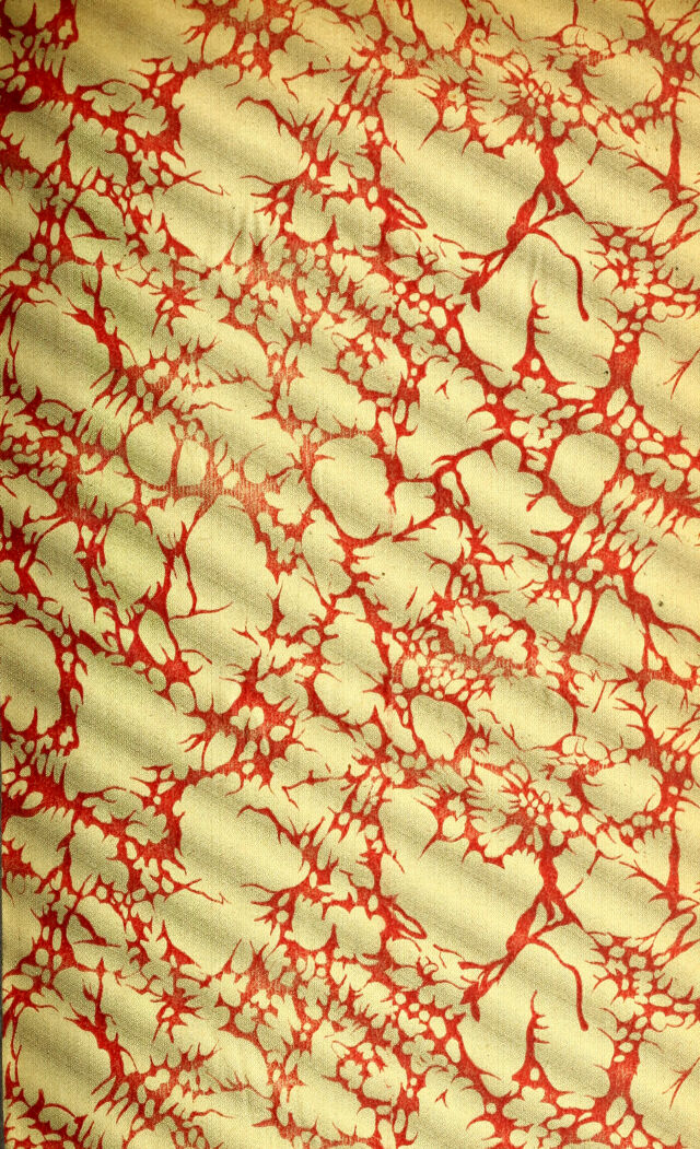 digitised image 3