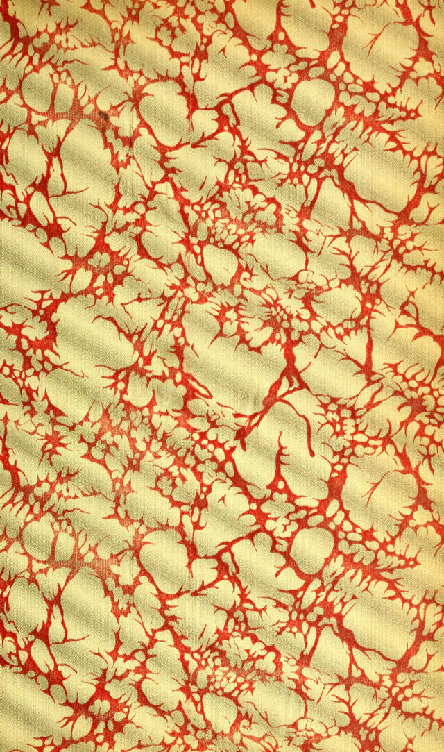 digitised image 2