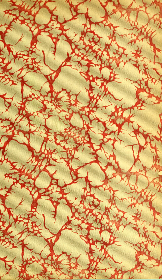 digitised image 2