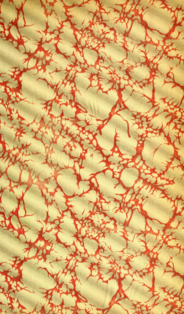 digitised image 3