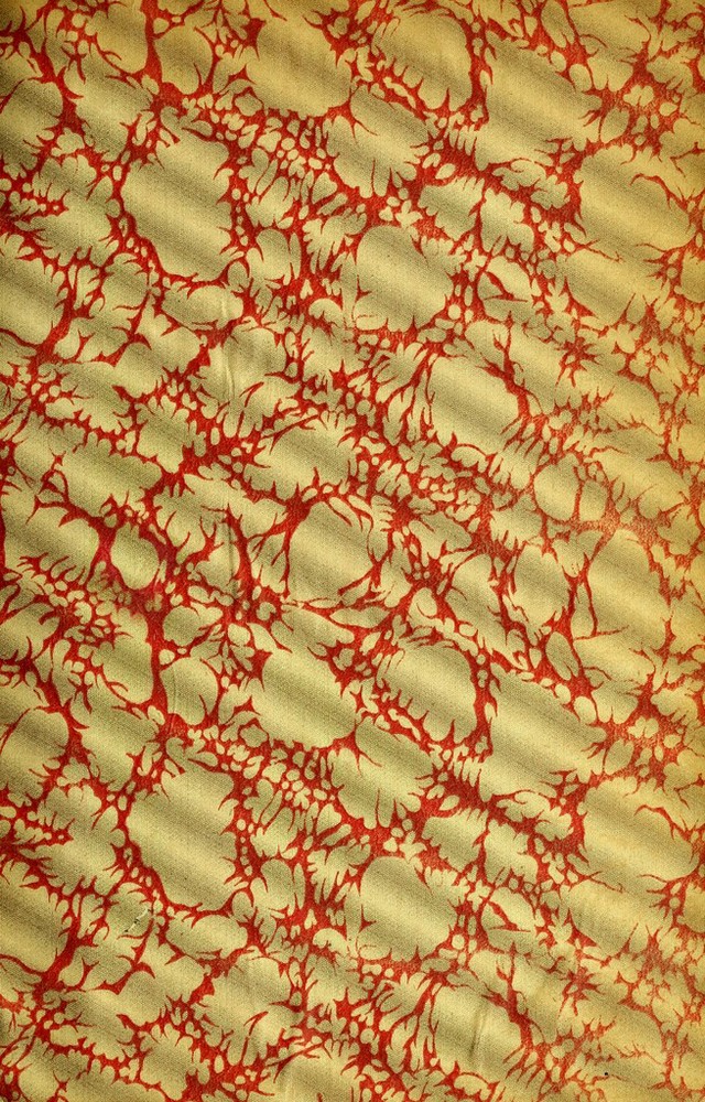 digitised image 3