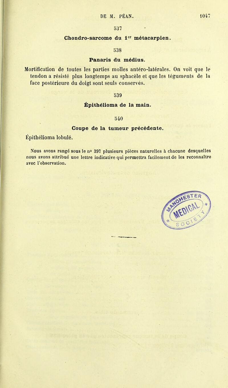 S37 Chondro-sarcome du 1°'' métacarpien. 538 Panaris du médius. Mortification de toutes les parties molles antéro-latérales. On voit que le tendon a résisté plus longtemps au sphacèle et que les téguments de la face postérieure du doigt sont seuls conservés. 539 Épithélioma de la main. 540 Coupe de la tumeur précédente. Épithélioma lobulé. Nous avons rangé sous le n° 397 plusieurs pièces naturelles à cliacune desquelles nous avons attribué une lettre indicative qui permettra facilement de les reconnaître avec l'observation.