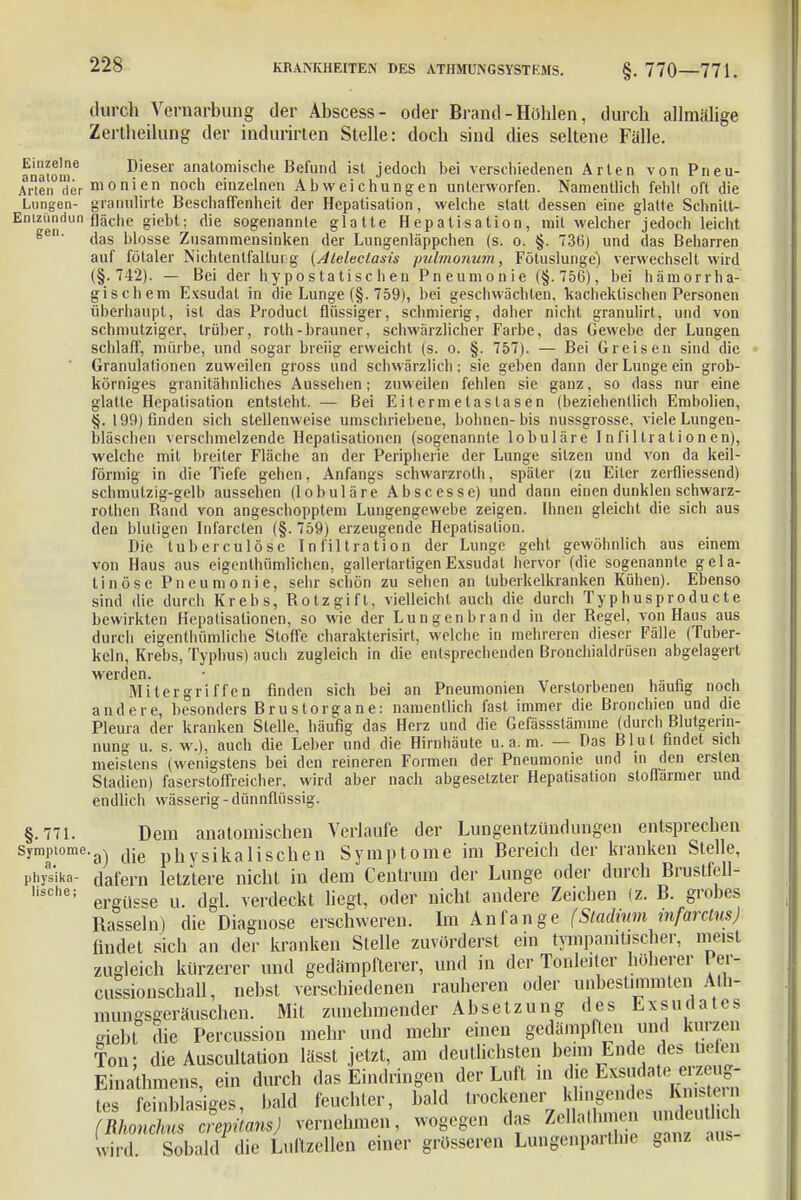 durch Vernarbung der Abscess- oder Brand - Höhlen, durch allmälige Zertheilung der indurirten Stelle: doch sind dies seltene Fälle. anatoü6 Dieser anatomische Befund ist jedoch hei verschiedenen Arten von Pneu- Arten (iermon'en nocn einzelnen Abweichungen unterworfen. Namentlich fehl! oft die Lungen- grantflirte Beschaffenheit der Hepatisation, welche statt dessen eine glatte Schnitt- Entziindun fläche giebt; die sogenannte glatte Hepatisation, mit welcher jedoch leicht e ' das blosse Zusammensinken der Lungenläppchen (s. o. §. 736) und das Beharren auf fötaler Nichtenlfallurg {Ateleclasis pulmonum, Fötuslunge) verwechselt wird (§.742). — Bei der hypostatischen Pneumonie (§.756), bei hämorrha- gischem Exsudat in die Lunge (§. 759), bei geschwächten, kachektischen Personen überhaupt, ist das Producl flüssiger, schmierig, daher nicht granulirt, und von schmutziger, trüber, rolh-brauner, schwärzlicher Farbe, das Gewebe der Lungen schlaff, mürbe, und sogar breiig erweicht (s. o. §. 757). — Bei Greisen sind die Granulationen zuweilen gross und schwärzlich; sie geben dann der Lunge ein grob- körniges granitähnliches Aussehen; zuweilen fehlen sie ganz, so dass nur eine glatte Hepatisation entsteht. — Bei Eitermelaslasen (beziehentlich Embolien, §. 199) finden sich stellenweise umschriebene, höhnen-bis nussgrosse, viele Lungen- bläschen verschmelzende Hepatisationen (sogenannte lobuläre Infiltrationen), welche mit breiter Fläche an der Peripherie der Lunge sitzen und von da keil- förmig in die Tiefe gehen, Anfangs schwarzroth, später (zu Eiter zerfliessend) schmutzig-gelb aussehen (lobuläre Abscesse) und dann einen dunklen schwarz- rothen Band von angeschopptem Lungengewebe zeigen. Ihnen gleicht die sich aus den blutigen Infarcten (§. 759) erzeugende Hepatisation. Die tuberculöse Infiltration der Lunge geht gewöhnlich aus einem von Haus aus eigenthümlichen, gallertartigen Exsudat hervor (die sogenannte gela- tinöse Pneumonie, sehr schön zu sehen an tuberkelkranken Kühen). Ebenso sind die durch Krebs, Rotzgift, vielleicht auch die durch Typhusproducte bewirkten Hepatisationen, so wie der Lungenbrand in der Regel, von Haus aus durch eigentliiimliche Stoffe charakterisirt, welche in mehreren dieser Fälle (Tuber- keln, Krebs, Typhus) auch zugleich in die entsprechenden Bronchialdrüsen abgelagert werden. • Mitergriffen finden sich bei an Pneumonien Verstorbenen hautig noch andere, besonders Brustorgane: namentlich fast immer die Bronchien und die Pleura der kranken Stelle, häufig das Herz und die Gefässslämme (durch Blutgerin- nung u. s. w.), auch die Leber und die Hirnhäute u.a.m. — Das Blut findet sich meistens (wenigstens bei den reineren Formen der Pneumonie und in den ersten Stadien) faserstoffreicher, wird aber nach abgesetzter Hepatisation stoffarmer und endlich wässerig-dünnflüssig. §.771. Dem anatomischen Verlaufe der Lungentzündungen entsprechen Symptome.a^ jjg physikalischen Symptome im Bereich der kranken Stelle, Physika- dafern letztere nicht in dem Centrum der Lunge oder durch Brustfell- Iisch6i ergii^e u. dgl. verdeckt liegt, oder nicht andere Zeichen (z. B. grobes Rasseln) die Diagnose erschweren. Im Anfange (Stadium infarclus) findet sich an der kranken Stelle zuvörderst ein tympamtischer, ineist zugleich kürzerer und gedämpfterer, und in der Tonleiter höherer Per- cussionschall, nebst verschiedenen rauheren oder unbestimmten Ath- mungsgeräuschen. Mit zunehmender Absetzung des Exsudates «lebt die Percussion mehr und mehr einen gedämpften und kurzen Ton; die Auscultation lässt jetzt, am deutlichsten beim Ende des total Einathmens, ein durch das Eindringen der Luft m die Exsudate erzeug- tes feinblasiges, bald feuchter, bald trockener klingendes Knistern fmonZ, Titans) vernehmen, wogegen das Zella.imen undeuUich wird. Sobald die Luftzellen einer grösseren Lungenpartlne ganz aus