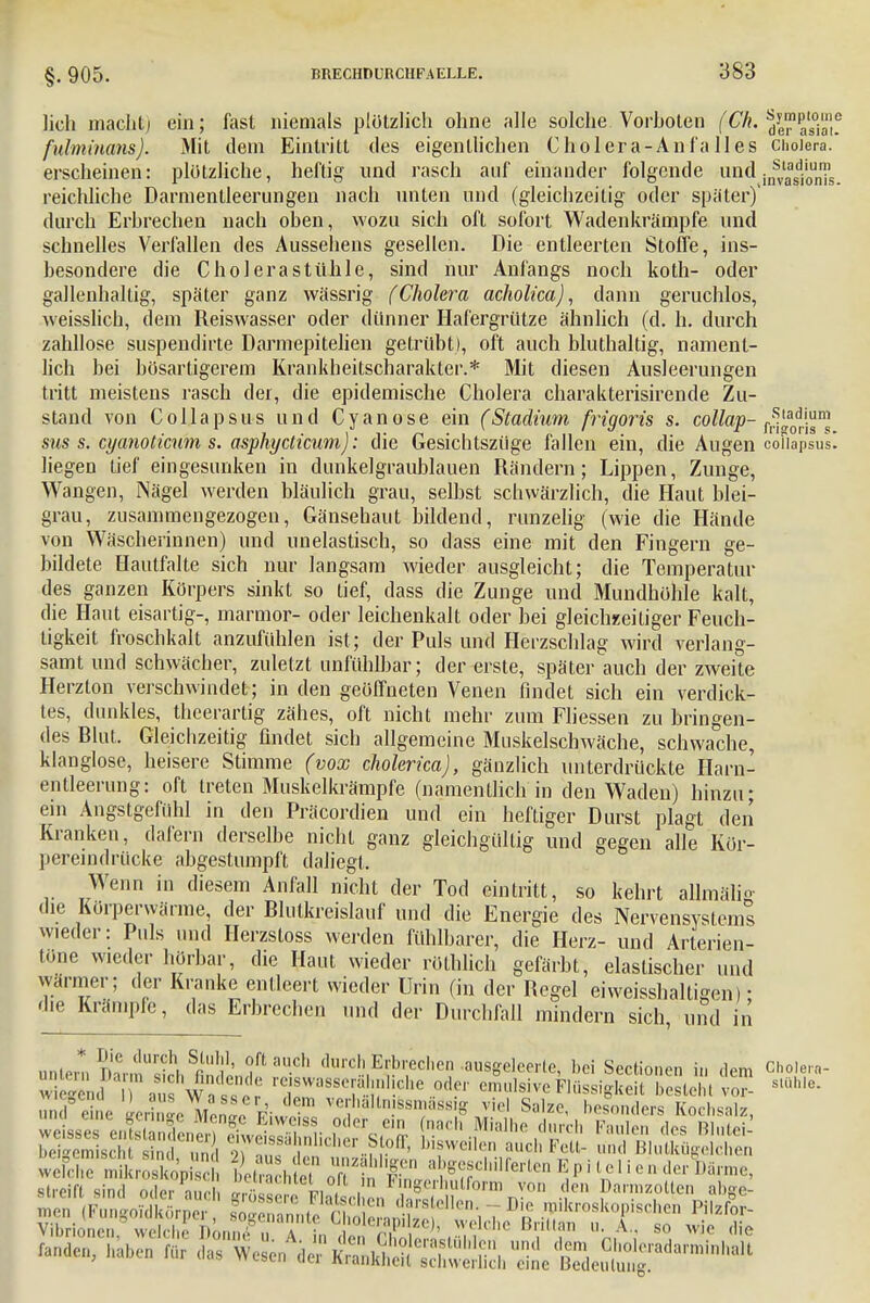lieh mächt) ein; fast niemals plötzlich ohne alle solche Vorholen f-C^vdwasiätf fulminans). Mit dein Eintritt des eigentlichen Cholera-Anfalles Cholera, erscheinen: plötzliche, heftig und rasch auf einander folgende undj*^^ reichliche Darnientleerungen nach unten und (gleichzeitig oder später)' durch Erhrechen nach oben, wozu sich oft sofort Wadenkrämpfe und schnelles Verfallen des Aussehens gesellen. Die entleerten Stoffe, ins- besondere die Cholerastühle, sind nur Anfangs noch koth- oder gallenhaltig, später ganz wässrig (Cholera acholica), dann geruchlos, weisslich, dem Reiswasser oder dünner Hafergrütze ähnlich (d. h. durch zahllose suspendirte Darmepitelien getrübt), oft auch bluthaltig, nament- lich bei bösartigerem Krankheitscharakter.* Mit diesen Ausleerungen tritt meistens rasch der, die epidemische Cholera charakterisirende Zu- stand von Collapsus und Cyanose ein (Stadium frigoris s. collap- r^^ms sus s. eyanoticum s. asphyeticum): die Gesichtszüge fallen ein, die Augen eoFiapsus! liegen tief eingesunken in dunkelgraublauen Rändern; Lippen, Zunge, Wangen, Nägel werden bläulich grau, selbst schwärzlich, die Haut blei- grau, zusammengezogen, Gänsehaut bildend, runzelig (wie die Hände von Wäscherinnen) und unelastisch, so dass eine mit den Fingern ge- bildete Hautfalte sich nur langsam wieder ausgleicht; die Temperatur des ganzen Körpers sinkt so tief, dass die Zunge und Mundhöhle kalt, die Haut eisartig-, marmor- oder leichenkalt oder bei gleichzeiliger Feuch- tigkeit froschkalt anzufühlen ist; der Puls und Herzschlag wird verlang- samt und schwächer, zuletzt unfühlbar; der erste, später auch der zweite Herzion verschwindet; in den geöffneten Venen findet sich ein verdick- tes, dunkles, theerartig zähes, oft nicht mehr zum Fliessen zu bringen- des Blut. Gleichzeitig findet sich allgemeine Muskelscbwäche, schwache, klanglose, heisere Stimme (vox cholerica), gänzlich unterdrückte Harn- entleerung: oft treten Muskelkrämpfe (namentlich in den Waden) hinzu; ein Angstgefühl in den Präcordien und ein heftiger Durst plagt den Kranken, dafern derselbe nicht ganz gleichgültig und gegen alle Kör- pereindrücke abgestumpft daliegt. Wenn in diesem Anfall nicht der Tod eintritt, so kehrt allmäli* die Körperwärme, der Blutkreislauf und die Energie des Nervensystems wieder: Puls und Herzsloss werden fühlbarer, die Herz- und Arterien- tüne wieder hörbar, die Haut wieder röthlich gefärbt, elastischer und wanner; der Kranke entleert wieder Urin (in der Regel eiweisshaltigen) • die Krämpfe, das Erbrechen und der Durchfall mindern sich, und in untert £!S W f aU.cb dur<* Erbrechen .ausgeleerte, bei Sectionen in dem Cholera- '' ,Ts wtTr rTaSS^fkU° ^^veFlüssigkeit bStohtiS slühle' SfeEe «rinn Mm % verhältnjssmässig viel Salze, besonders Kochsalz, ^l^tSnMS,^^^^ nach Mialhe durch Faulen des Blutei- bei-emischt sind m l oTo ff 5nlicher..ftoff, bisweilen auch Fell- und Blutkügelchen