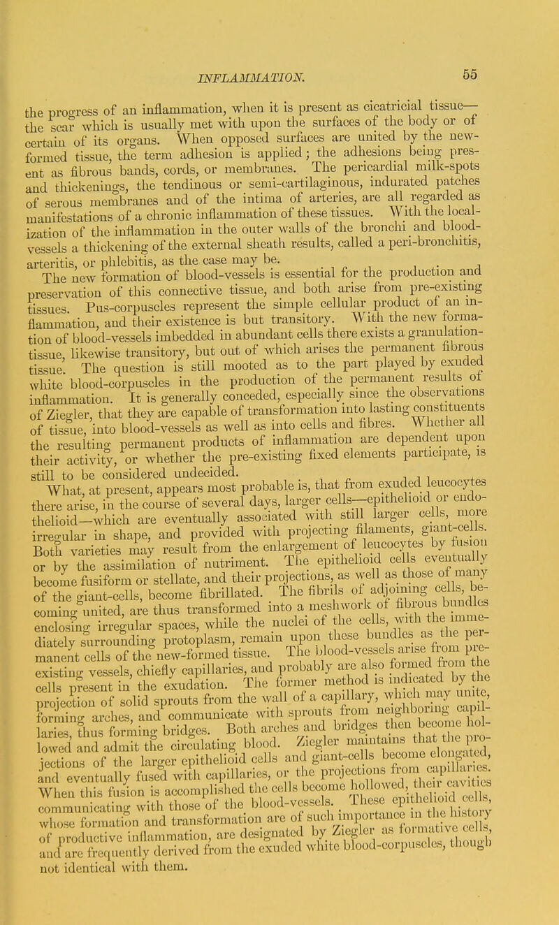 the proo-ress of an inflammation, when it is present as cicatricial tissue— the scar which is usually met with upon the surfaces of the body or of certain of its organs. When opposed surfaces are united by the new- formed tissue, the term adhesion is applied; the adhesions bemg pres- ent as fibrous bands, cords, or membranes. The pericardial milk-spots and thickeniugs, the tendinous or semi-cartilaginous, indurated patches of serous membranes and of the intima of arteries, are all regarded as manifestations of a chronic inflammation of these tissues. With the local- ization of the mflammation m the outer walls of the bronchi and blood- vessels a thickening of the external sheath results, called a peri-bronchitis, arteritis, or phlebitis, as the case may be. . , ^ , , The new formation of blood-vessels is essential for the production and preservation of this connective tissue, and both arise from pre-existing tissues Pus-corpuscles represent the simple cellular product ol an m- flammation, and theii- existence is but transitory. With the new forma- tion of blood-vessels imbedded in abundant cells there exists a granulation- tissue, Ukewise transitory, but out of which arises the permanent fibrous tissue The question is still mooted as to the part played by exuded white blood-corpuscles in the production of the permanent results ol inflammation. It is generally conceded, especially since the observations of Ziegler, that they are capable of transformation into lasting constituen s of tissue, into blood-vessels as well as into cells and fibres Whether all the resulting permanent products of inflammation are dependent upon their activity, or whether the pre-existing fixed elements participate, is still to be considered undecided. . ■, ^ i i i +„o What, at present, appears most probable is, that from exuded leucocytes there ar se, in the course of several days, larger cells-epithelioid or endo- ;heUoid-;hich are eventually associated with still larger ceBs^^ mon. irregular in shape, and provided with W^^^^^'^^ .^]^'^^''\^Z^^^ Both varieties may result from the enlargement of leucocytes by W or by the assimiktion of nutriment. The epithelioid eel s eventua y become fusiform or stellate, and their prqjections as well as those of many of the giant-cells, become fibrillated. The fibrils of ^^Ij^^j^^g ' coming^'united, a^ thus transformed into a_ mesh work of fil;^^^ ^^^^^ enclosing irregular spaces, while the nuclei of he ^f'^^^'^''^\;^'^^ diatelv surrounding protoplasm, remain upon these bundles as the pei- manent cells of the^ew-fo'rmed tissue The existing vessels, chiefly capillaries, and probably are also formed liom the ceCpfelen in the exudltion. The former method is -^icated bj^^^^^^^ pro^cdon of solid sprouts from the wall ^ flf^'^y formino- arches and communicate witli sprouts from ne ghboiing capi a S thu fon;rng bridges. Both arches and bridges then become hol- W' and ihnit the circulating blood. Ziegler -^T^^J^ iections of the larger epithelioid cells and g.ant-cells become ^-loi galul, fnd eventually fuse'd with capillaries, or the projcct.ons -P' - When this fu.4n is accomplished tlie cells become l^^f^^^^^ communicating with those of the_ blood-vessels. _ ^'^^^^ ; ^'^^ whose formation and transformation are o ^/^^^y.^^P^^^^^f J^, ^^^^ of productive inllammation, are designated by Ziegler as ^o'-^twe ec b^^ and are frequently derived from the exuded white blood-corpuscles, though not identical with them.