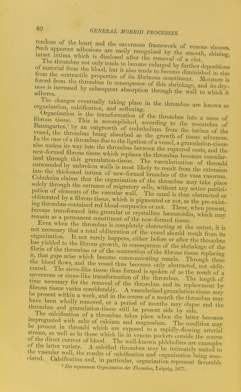 forced from the thrombus jn consequeuce of tliis shi-inkaire aiirl ifl L 12:::^ by subsequent absVou through lie'Sl to .'wd,'^;; Baumgaa-ten,^ by an outgrowth of endothelium from the nttma of the vessel, the thrombus being absorbed as the P-roAvth nf i In the case of a thrombus dSe to the hgatL L^^^^^^^^^^^ also makes Its way into the thrombus between the rupt'I Jit a^^^^^^^^ r^tr'^^^J '^^'^^ ^^^^^^ tl^^ tl^rombSs becors vaTouli ized through this granulation-tissue. The va^cularizatiornf Z  surrounded by unbroken walls is most likely o suit ffoT into the thickened intima of new-formed bLches of the va^a a^^rum SOW tr organization of the thrombus may tak^Xe natiln nf 1^ '^f entrance of migratory cells, without any artive partici! Ob teratL b^^^^^^^ ^^^ ^^'^ • ^'^^ ^^^^ obstruS or oDiiterated by a fibrous tissue, which is pigmented or not, as the iDre-evi.t ng thrombus contained red blood-corpuscles or not. These' wherpresent become transformed into granular oi' crystalline h^matoidil Xrmay reniam as a permanent constituent of the new-formed tissue ^ il^ven when the thrombus is completely obstructing at tlie out«=et it i« nas yielded to the fibrous growth, in consequence of the shrinkage of the ft th,t . *h.''<^-^bus or of the contraction of the fibrous tissue fepti^t t, that gaps arise Mjich become communicating canals. Through S erated. The sieve-like tissue thus formed is spoken of as the result of a cavernous or sinus-like transformation of the thrombus. The 5; gth of time necessary for the removal of tlie thrombus and its roi)]noomon by fibrous tissue varies considerably. A vascularized granulation-ti^suTmny have been wholly removed, or a period of months may elai.se and the thrombus and granulation-tissue still be present side by side ihe caicification of a thrombus takes place when the latter becomes b7S^l7tl' salts of calcium and magnesium. The conditionTav be present in thrombi which are exposed to a raiiidlv-flowino- arterial stream a.s well as in those which lie in venous pocklts oiitside the c e of the direct current of blood. The well-knowi phlebolites are exan Is of the latter variety A calcified thrombus mav be intimatolv united t^ .h:r T:-'^' ''T^'-' ^^l-'fi--^^' nnd- (organization being asso- nated. Calcification and, in particular, organization re])resent favorable 1 Die sogenannte Organiscdion der Tlirombus, Leipzig, 1877.