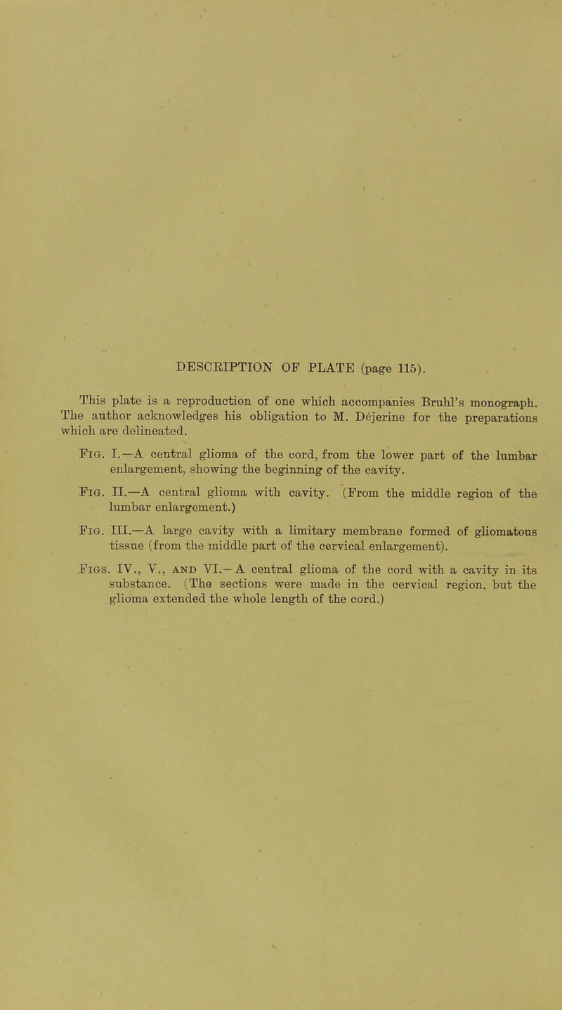 DESCRIPTION OF PLATE (page 115). This plate is a reproduction of one which accompanies Bruhl’s monograph. The author acknowledges his obligation to M. Dejerine for the preparations which are delineated. Fig. I.—A central glioma of the cord, from the lower part of the lumbar enlargement, showing the beginning of the cavity. Fig. II.—A central glioma with cavity, lumbar enlargement.) (From the middle region of the Fig. III.—A large cavity with a limitary membrane formed of gliomatous tissue (from the middle part of the cervical enlargement). Figs. IV., V., and VI.—A central glioma of the cord with a cavity in its substance. (The sections were made in the cervical region, but the glioma extended the whole length of the cord.)