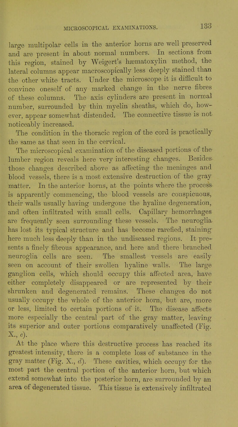 large multipolar cells in tire anterior horns are well preserved and are present in about normal numbers. In sections from this region, stained by Weigert’s hsematoxylin method, the lateral columns appear macroscopically less deeply stained than the other white tracts. Under the microscope it is difficult to convince oneself of any marked change in the nerve fibres of these columns. The axis cylinders are present in normal number, surrounded by thin myelin sheaths, which do, how- ever, appear somewhat distended. The connective tissue is not noticeably increased. The condition in the thoracic region of the cord is practically the same as that seen in the cervical. The microscopical examination of the diseased portions of the lumber region reveals here very interesting changes. Besides those changes described above as affecting the meninges and blood vessels, there is a most extensive destruction of the gray matter. In the anterior horns, at the points where the process is apparently commencing, the blood vessels are conspicuous, their walls usually having undergone the hyaline degeneration, and often infiltrated with small cells. Capillary hemorrhages are frequently seen surrounding these vessels. The neuroglia has lost its typical structure and has become rarefied, staining here much less deeply than in the undiseased regions. It pre- sents a finely fibrous appearance, and here and there branched neuroglia cells are seen. The smallest vessels are easily seen on account of their swollen hyaline walls. The large ganglion cells, which should occupy this affected area, have either completely disappeared or are represented by their shrunken and degenerated remains. These changes do not usually occupy the whole of the anterior horn, but are, more or less, limited to certain portions of it. The disease affects more especially the central part of the gray matter, leaving its superior and outer portions comparatively unaffected (Fig. X., e). At the place where this destructive process has reached its greatest intensity, there is a complete loss of substance in the gray matter (Fig. X., d). These cavities, which occupy for the most part the central portion of the anterior horn, but which extend somewhat into the posterior horn, are surrounded by an area of degenerated tissue. This tissue is extensively infiltrated