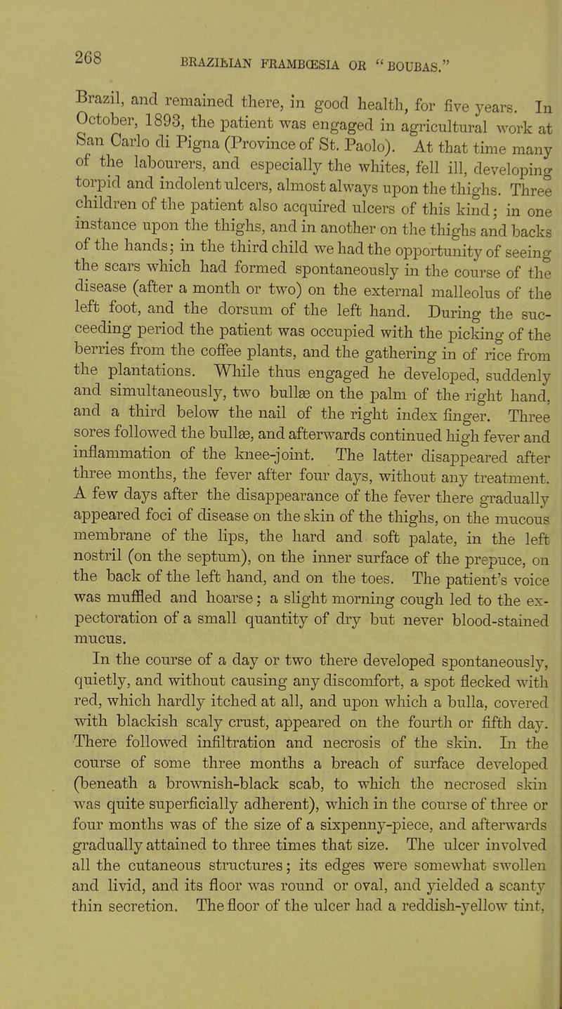 Brazil, and remained there, in good health, for five years. In October, 1893, the patient was engaged in agricultural work at ►Scan Carlo di Pigna (Province of St. Paolo). At that time many of the labourers, and especially the whites, fell ill, developing torpid and indolent ulcers, almost always upon the thighs. Three children of the patient also acquired ulcers of this kind; in one instance upon the thighs, and in another on the thighs and backs of the hands; in the third child we had the opportunity of seeing the scars which had formed spontaneously in the course of the disease (after a month or two) on the external malleolus of the left foot, and the dorsum of the left hand. During the suc- ceeding period the patient was occupied with the picking of the bemes from the coffee plants, and the gathering'm of rice from the plantations. While thus engaged he developed, suddenly and simultaneously, two bullae on the palm of the right hand, and a third below the nail of the right index finger. Three sores followed the bullae, and afterwards continued high fever and inflammation of the knee-joint. The latter disappeared after three months, the fever after four days, without any treatment. A few days after the disappearance of the fever there gradually appeared foci of disease on the skin of the thighs, on the mucous membrane of the lips, the hard and soft palate, in the left nostril (on the septum), on the inner surface of the prepuce, on the back of the left hand, and on the toes. The patient’s voice was muffled and hoarse; a slight morning cough led to the ex- pectoration of a small quantity of dry but never blood-stained mucus. In the course of a day or two there developed spontaneously, quietly, and without causing any discomfort, a spot flecked with red, which hardly itched at all, and upon which a bulla, covered with blackish scaly crust, appeared on the fourth or fifth day. There followed infiltration and necrosis of the skin. In the course of some three months a breach of surface developed (beneath a brownish-black scab, to which the necrosed skin was quite superficially adherent), which in the course of three or four months was of the size of a sixpenny-piece, and afterwards gradually attained to three times that size. The ulcer involved all the cutaneous structures; its edges were somewhat swollen and livid, and its floor was round or oval, and yielded a scanty thin secretion. The floor of the ulcer had a reddish-yellow tint,